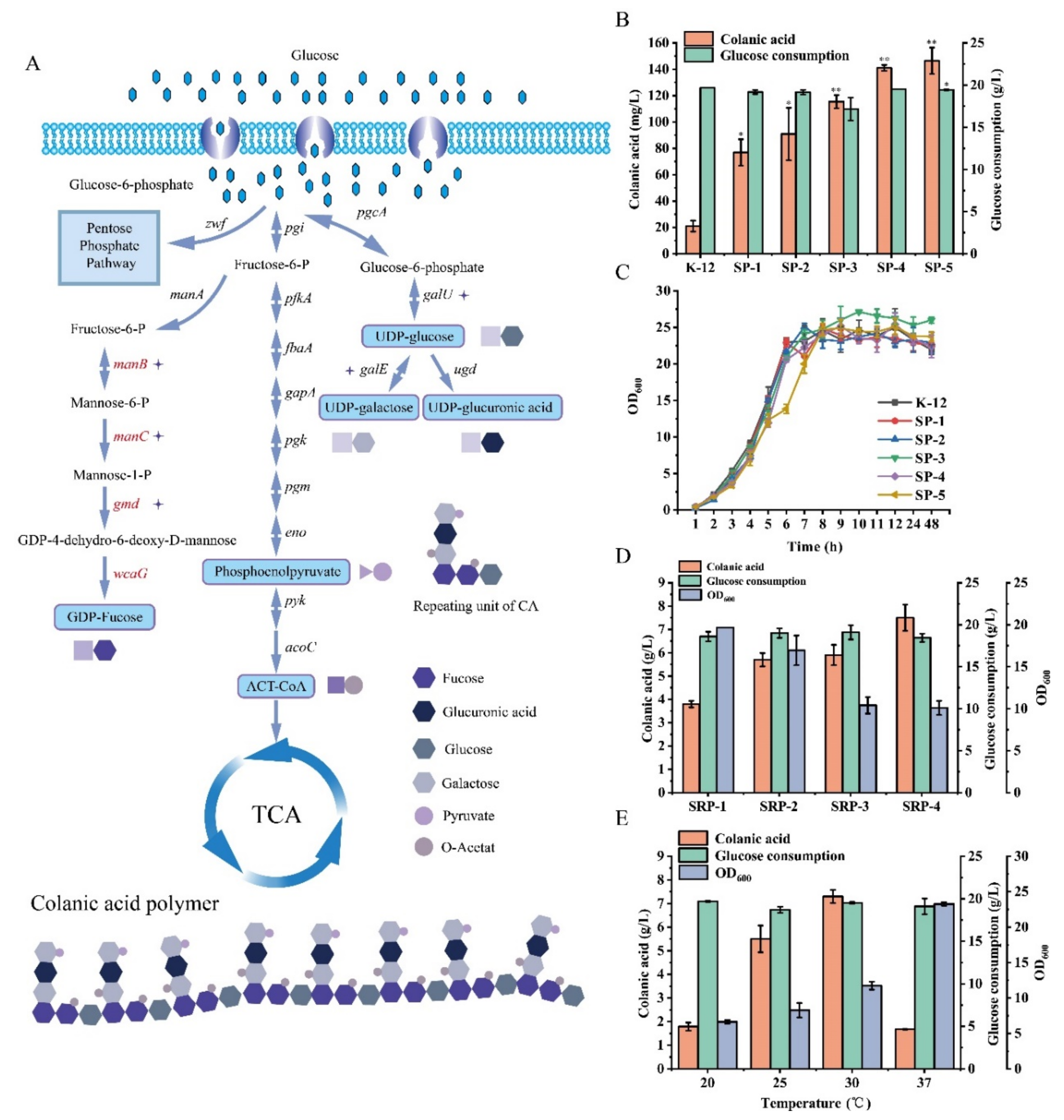 Microorganisms 10 00877 g004