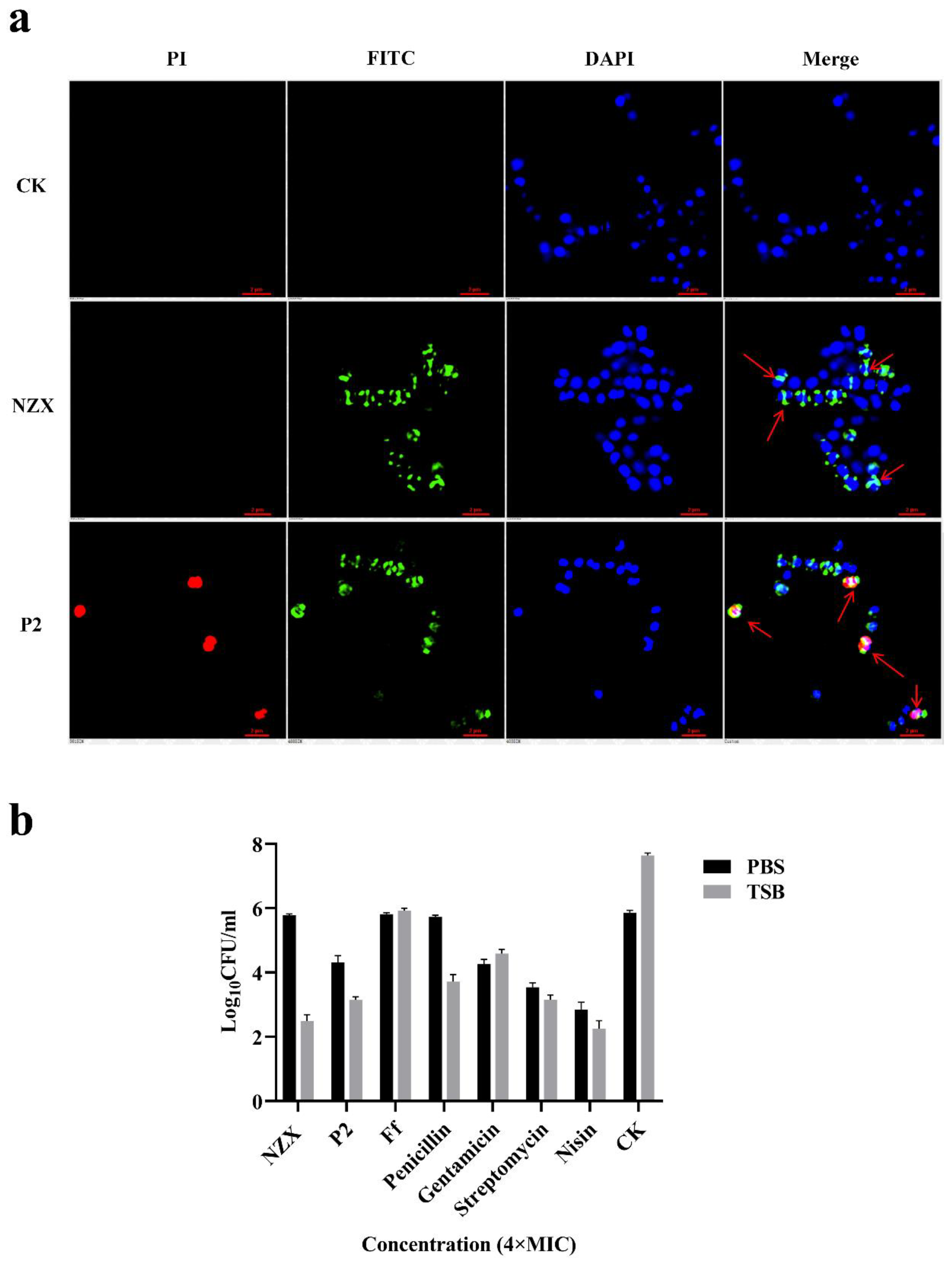 Microorganisms 10 00881 g004