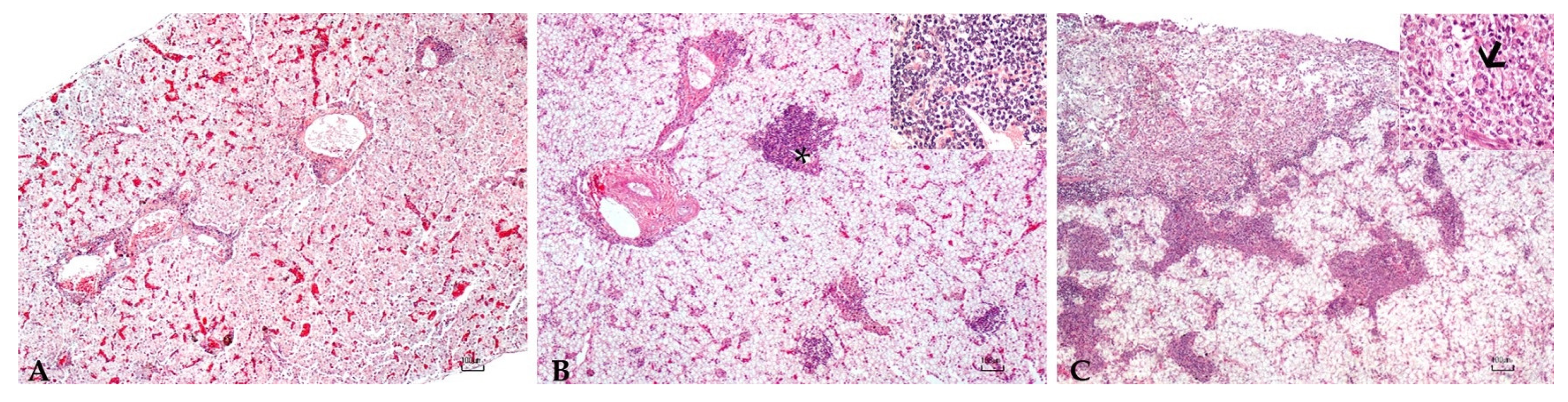 Microorganisms 10 00883 g001