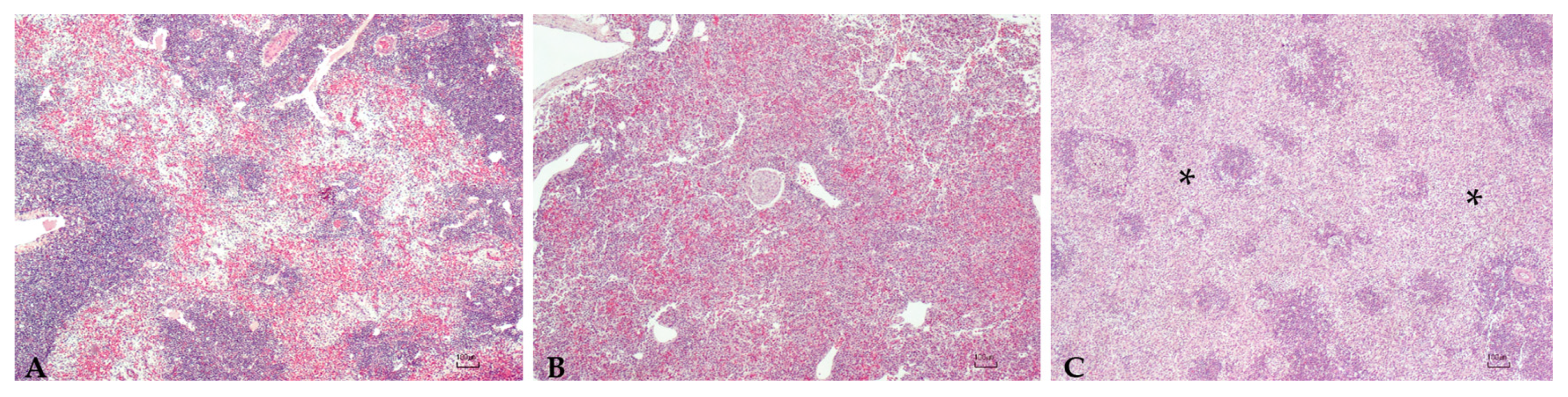 Microorganisms 10 00883 g002