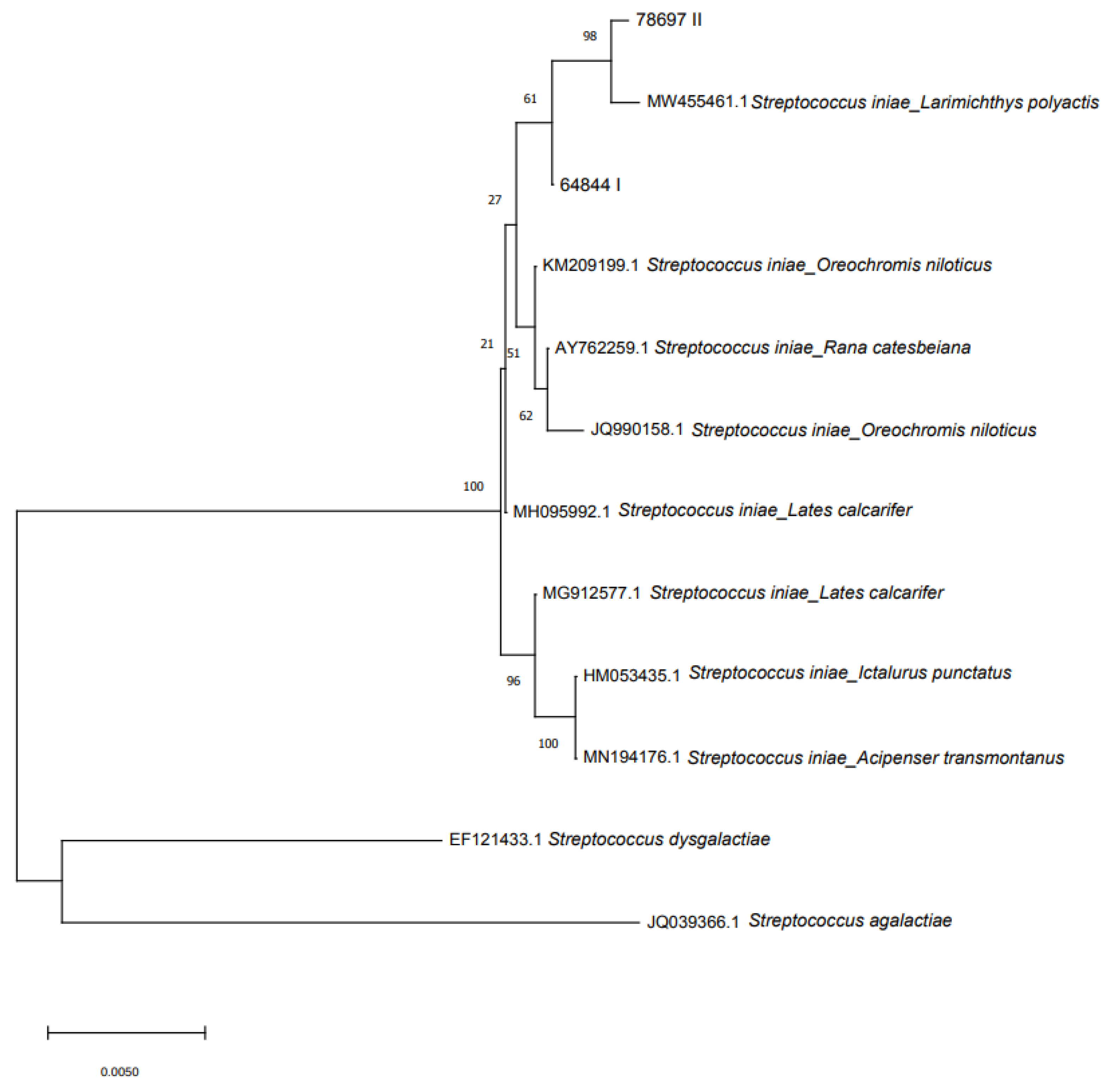 Microorganisms 10 00883 g004
