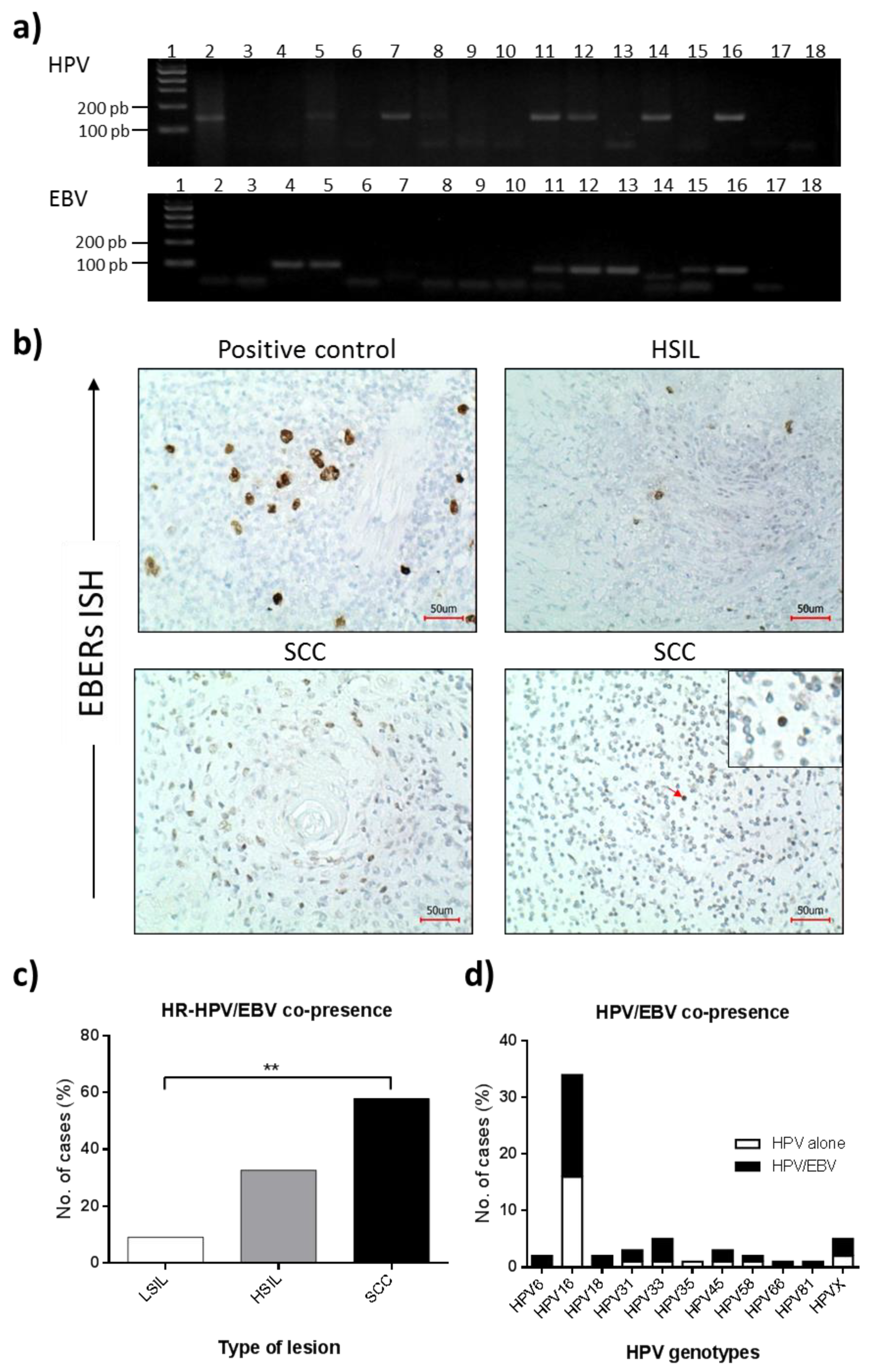 Microorganisms 10 00888 g001