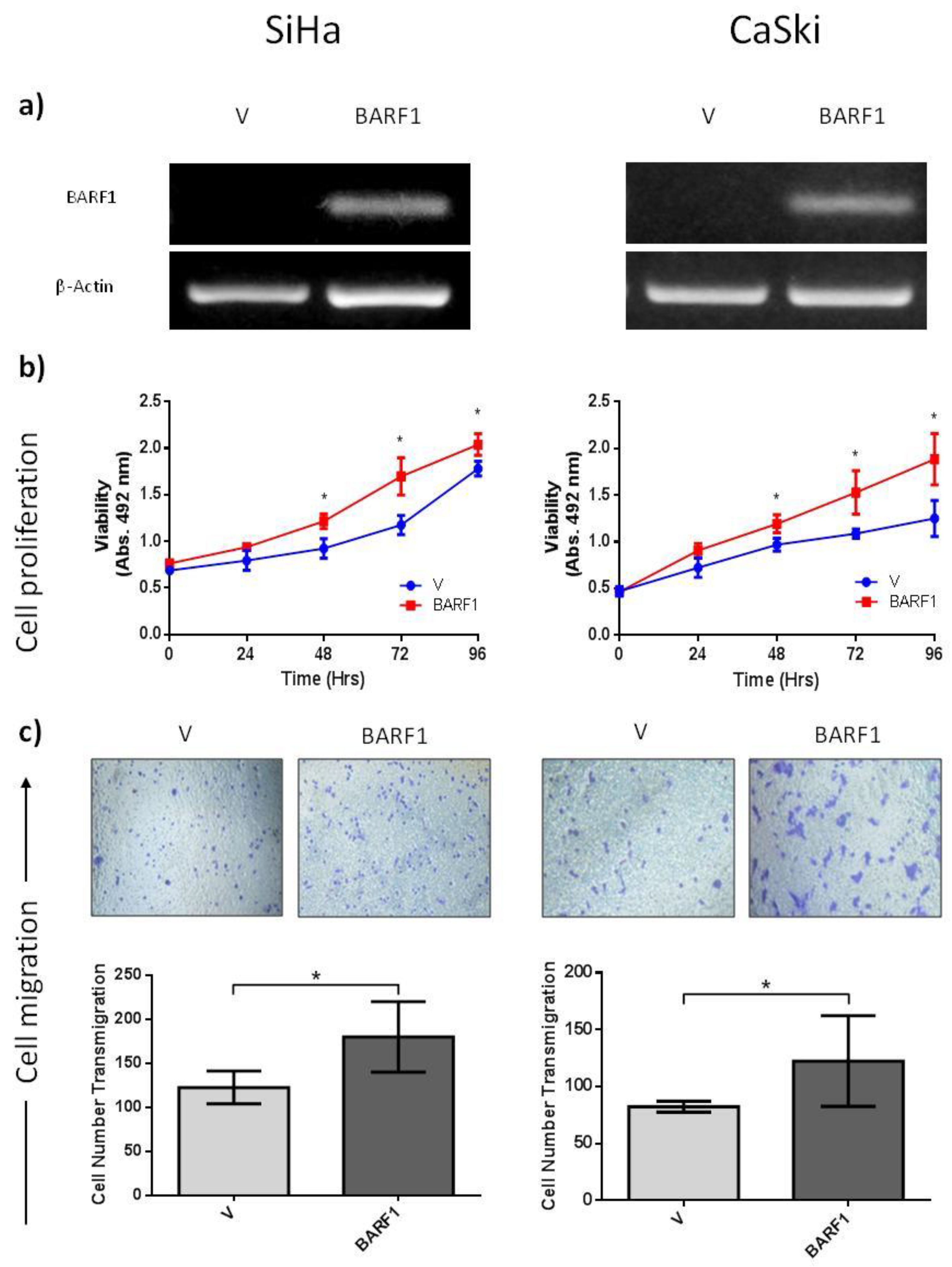 Microorganisms 10 00888 g002