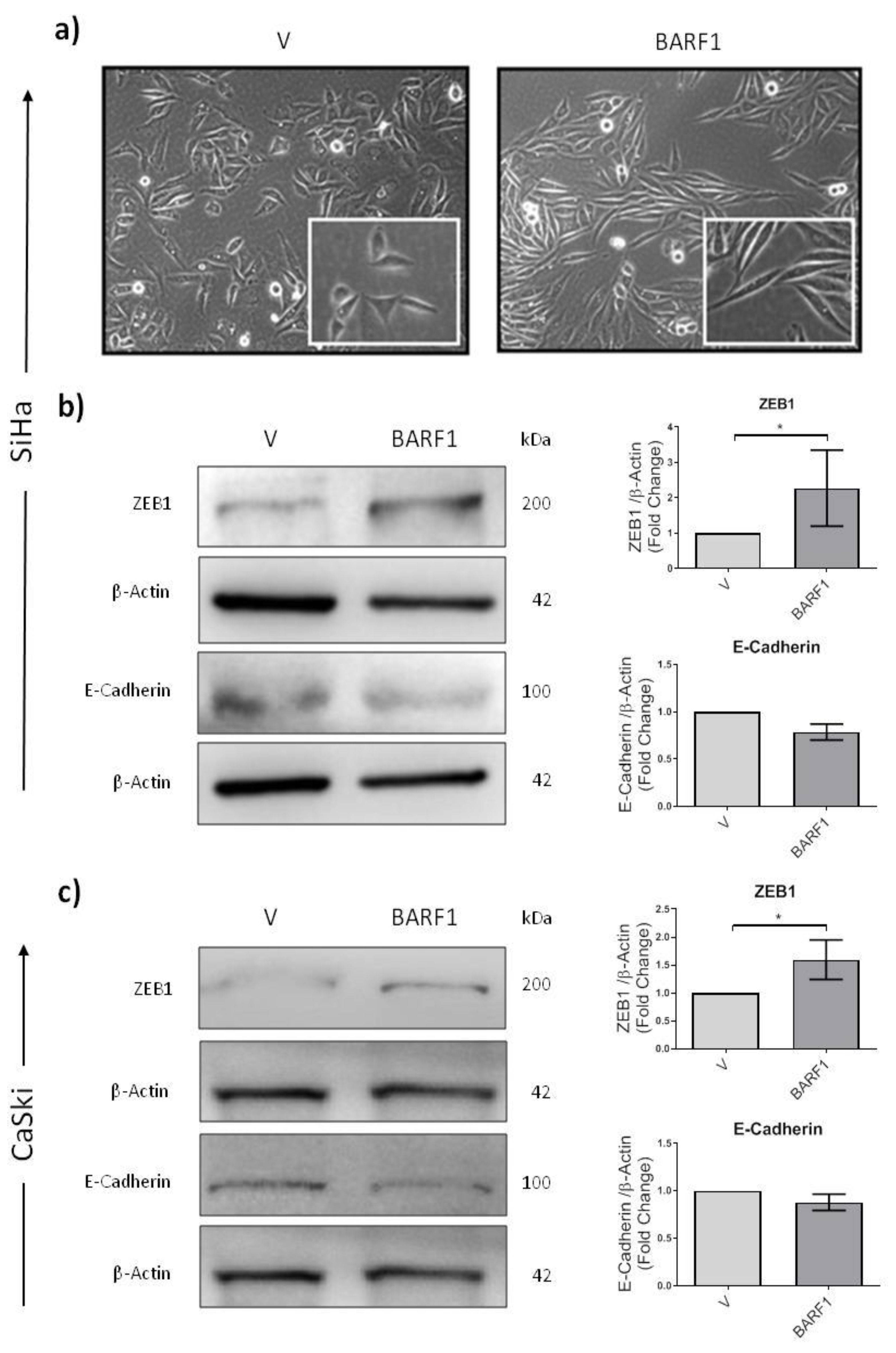 Microorganisms 10 00888 g003