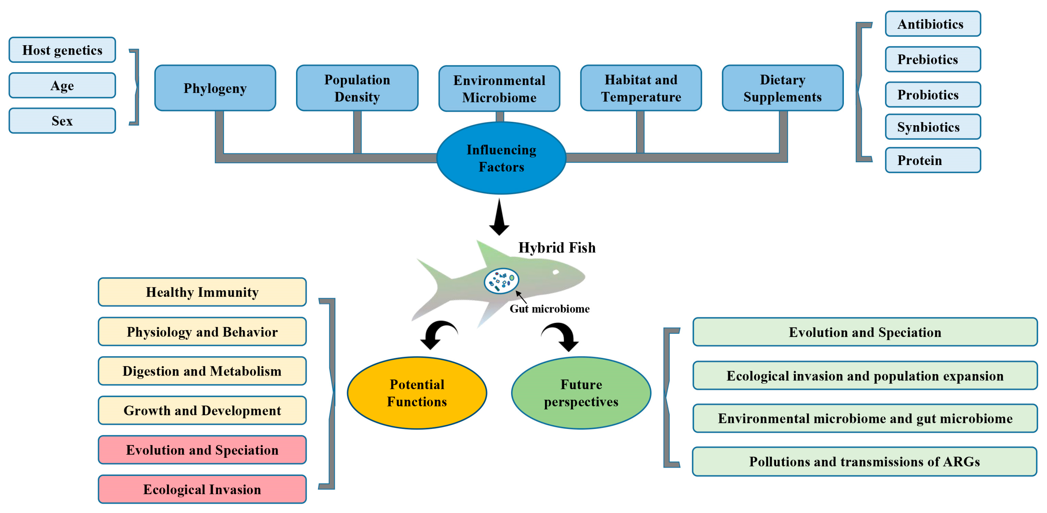 Microorganisms | Free Full-Text | Research Progress of the Gut