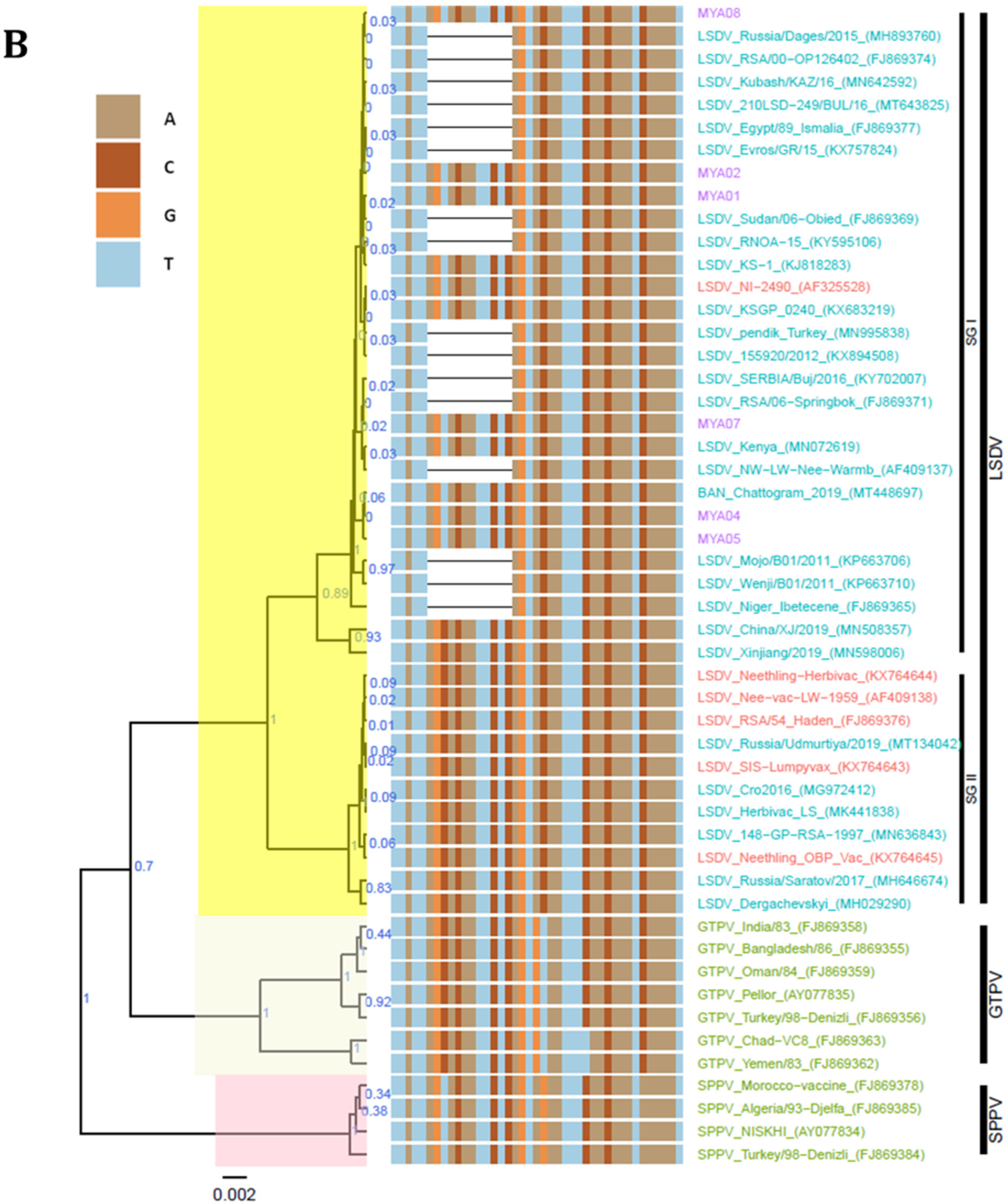 Microorganisms 10 00897 g005b