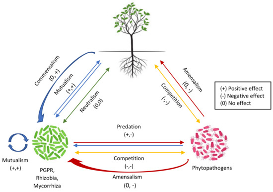 Harnessing the Rhizosphere Soil Microbiome of Organically