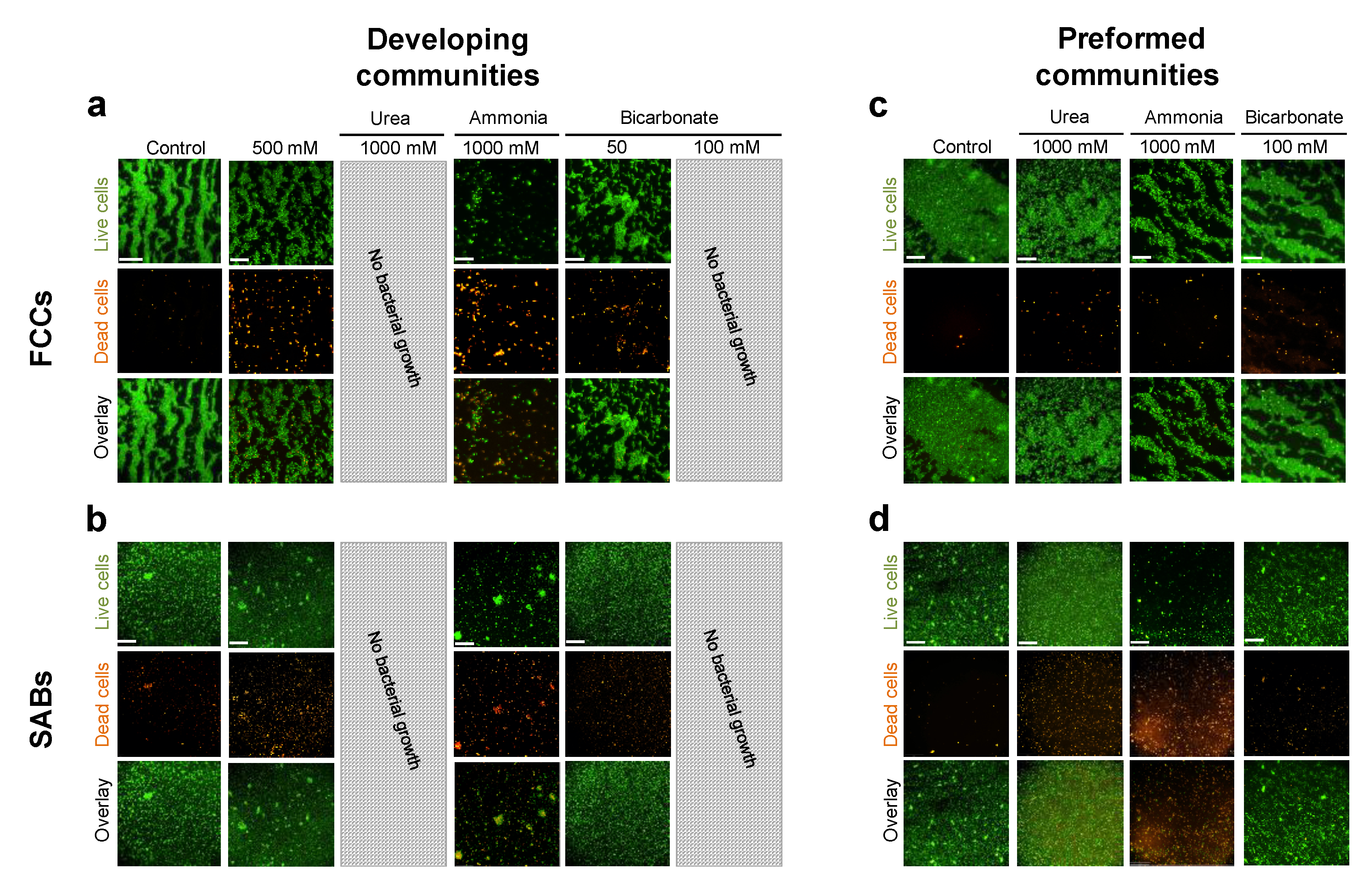 Microorganisms 10 00901 g002 Microorganisms 10 00901 g002