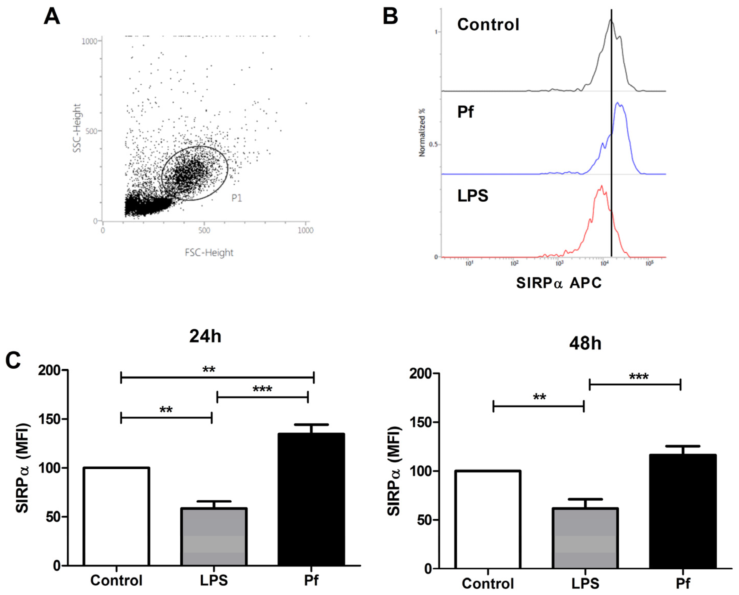 Microorganisms 10 00903 g001