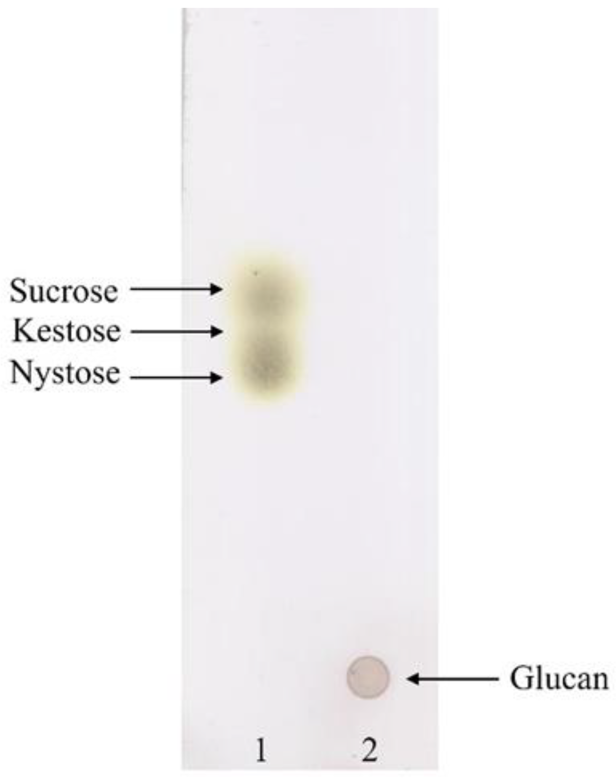 Microorganisms 10 00904 g001 Microorganisms 10 00904 g001
