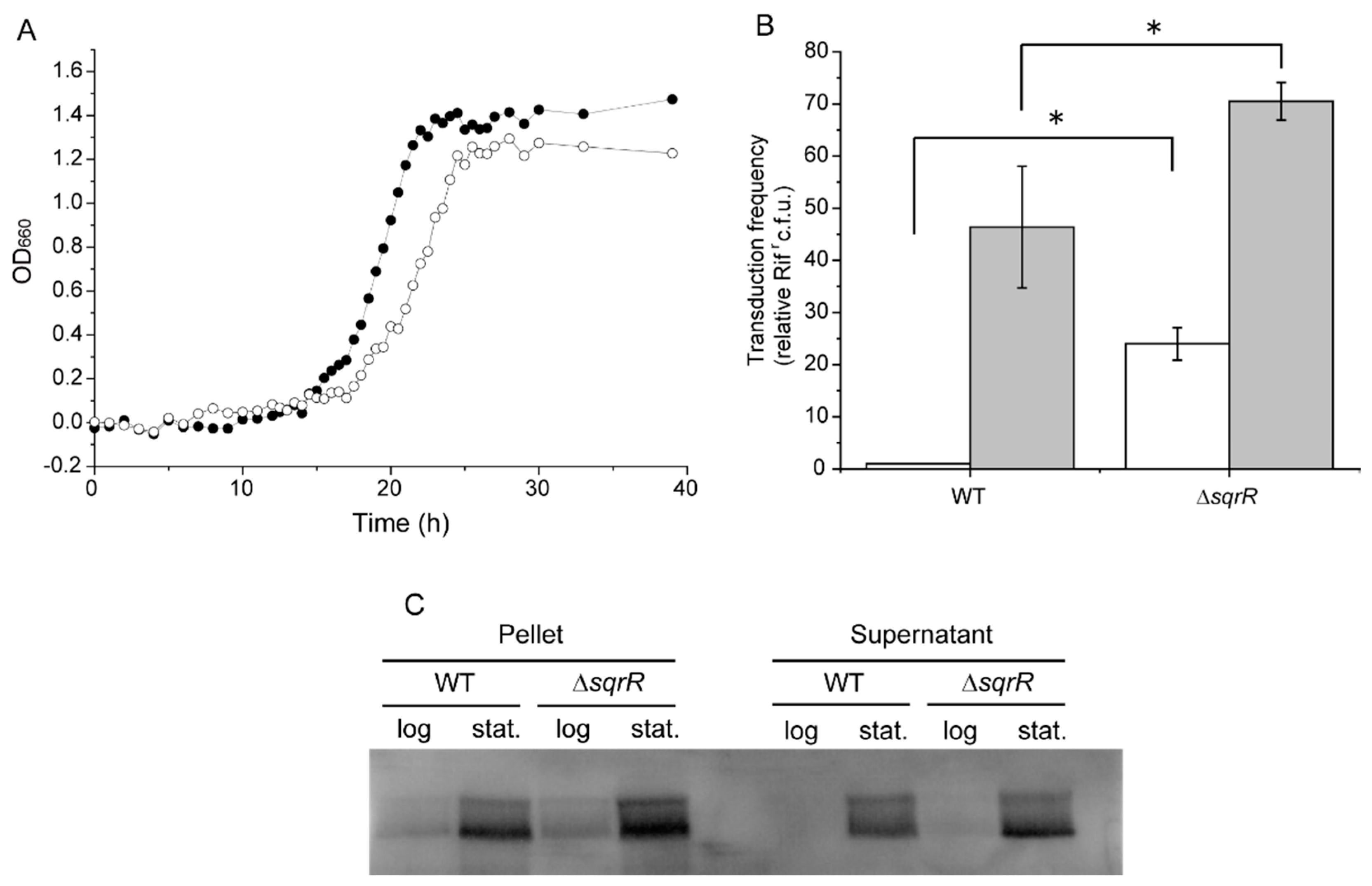 Microorganisms 10 00908 g001 Microorganisms 10 00908 g001