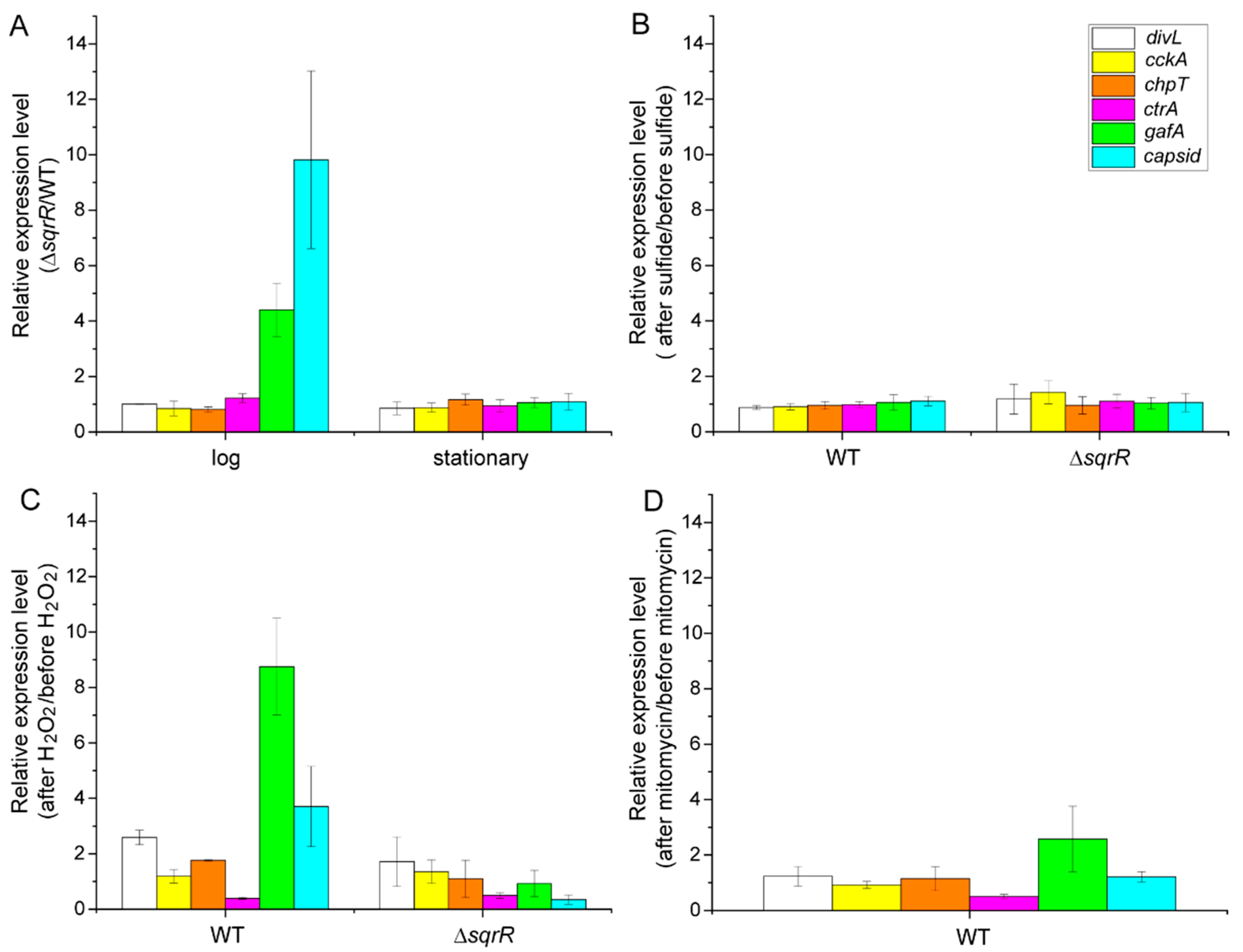 Microorganisms 10 00908 g002 Microorganisms 10 00908 g002