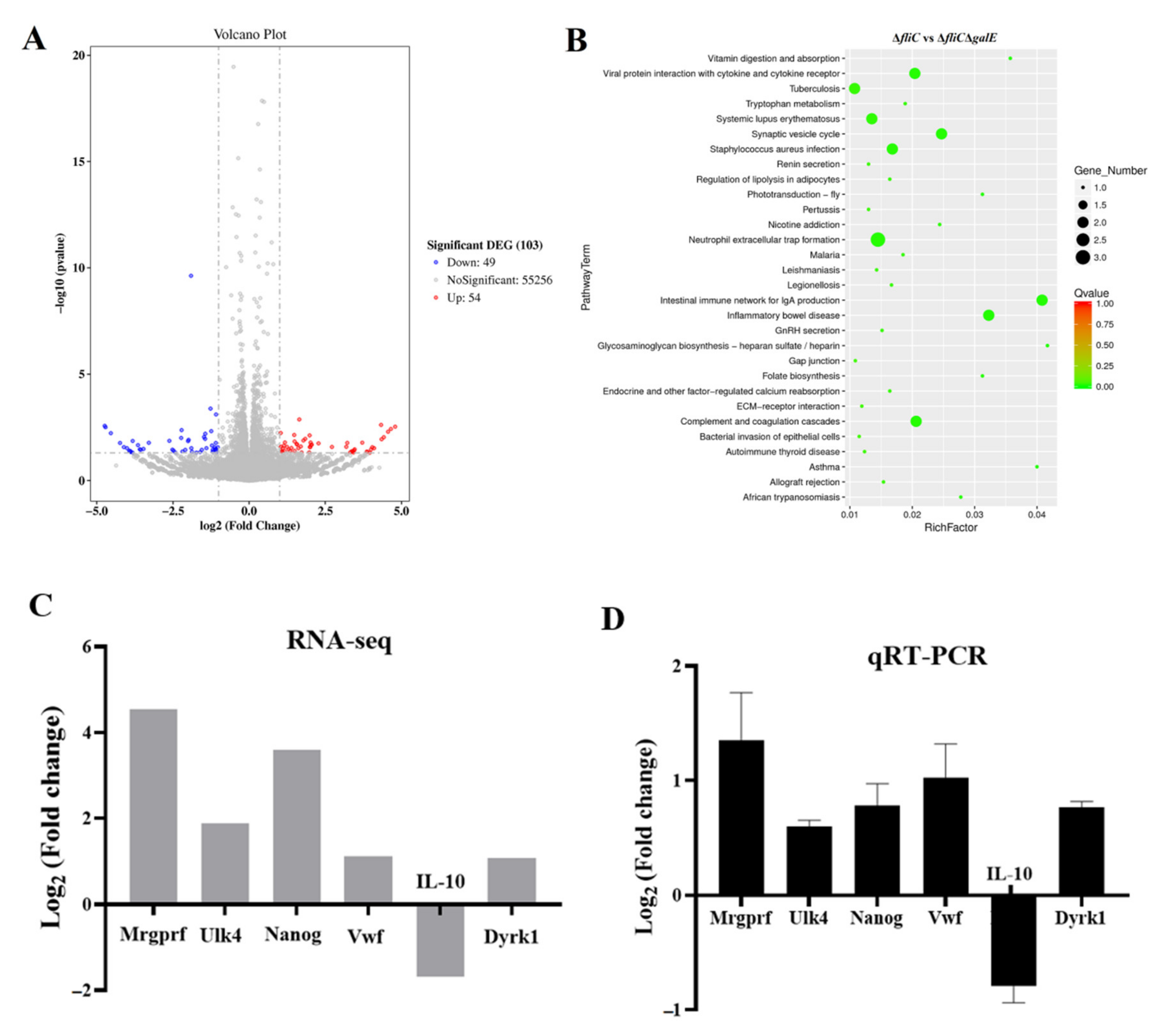 Microorganisms 10 00911 g006