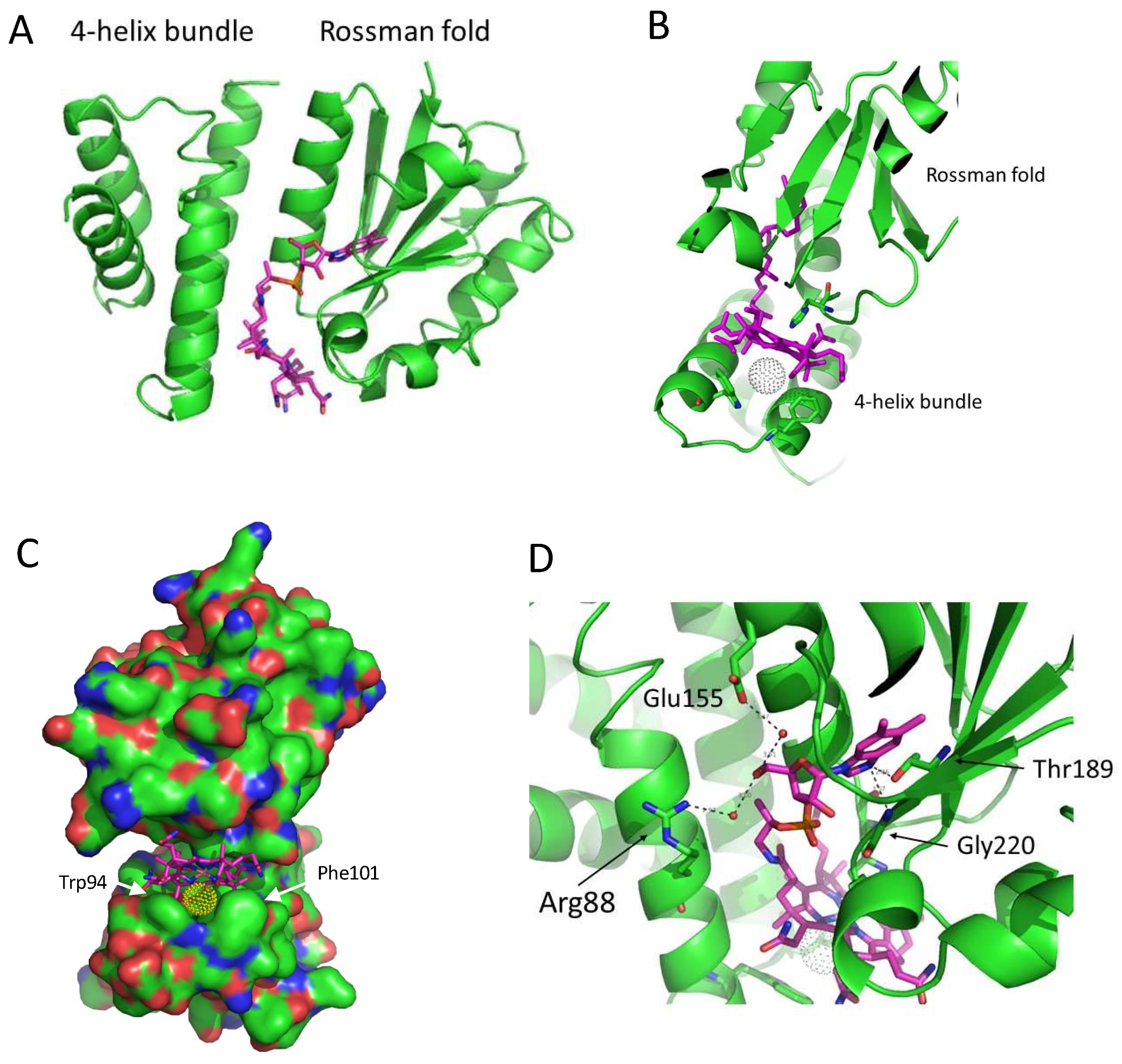 Microorganisms 10 00912 g002 Microorganisms 10 00912 g002