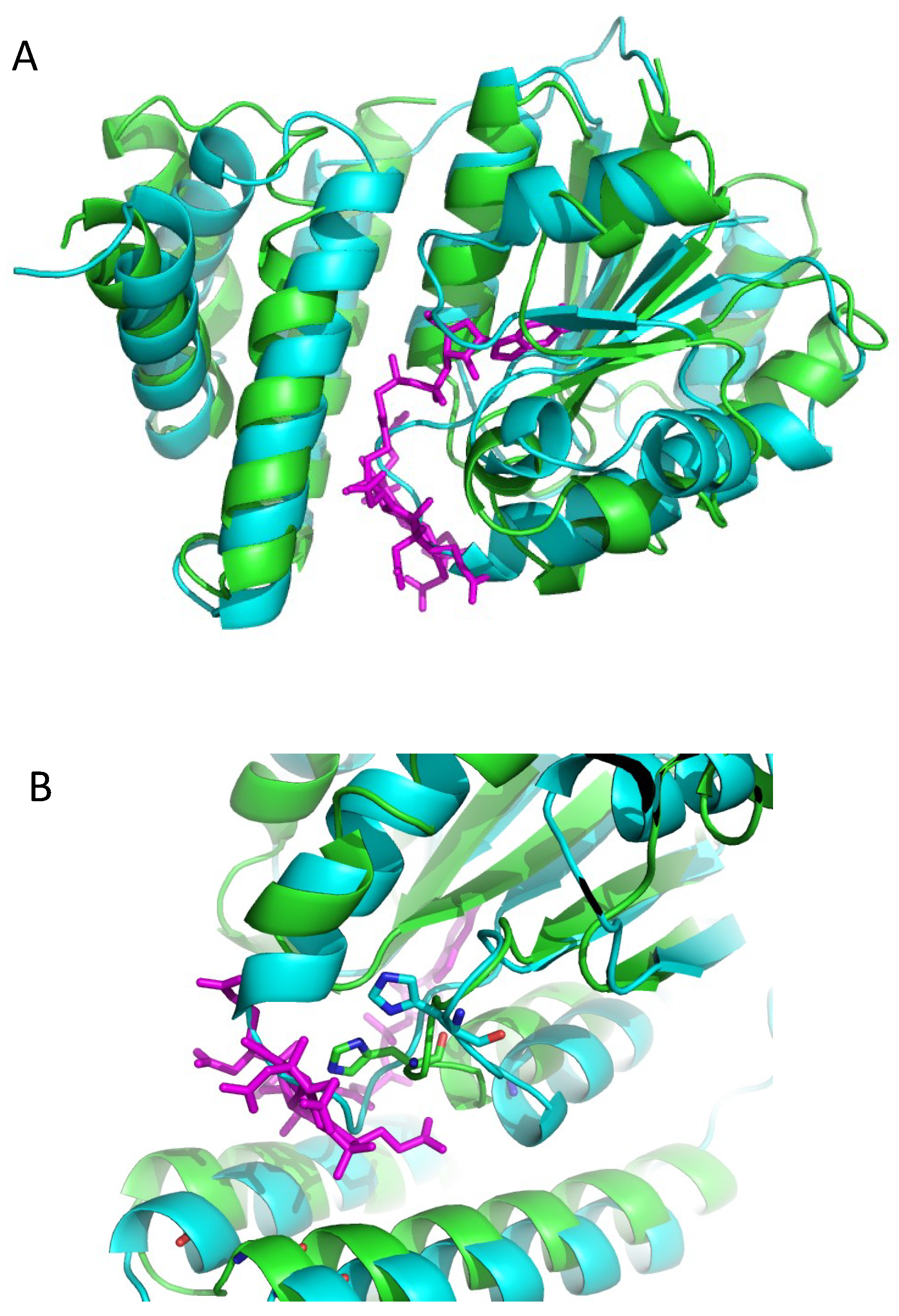 Microorganisms 10 00912 g003 Microorganisms 10 00912 g003