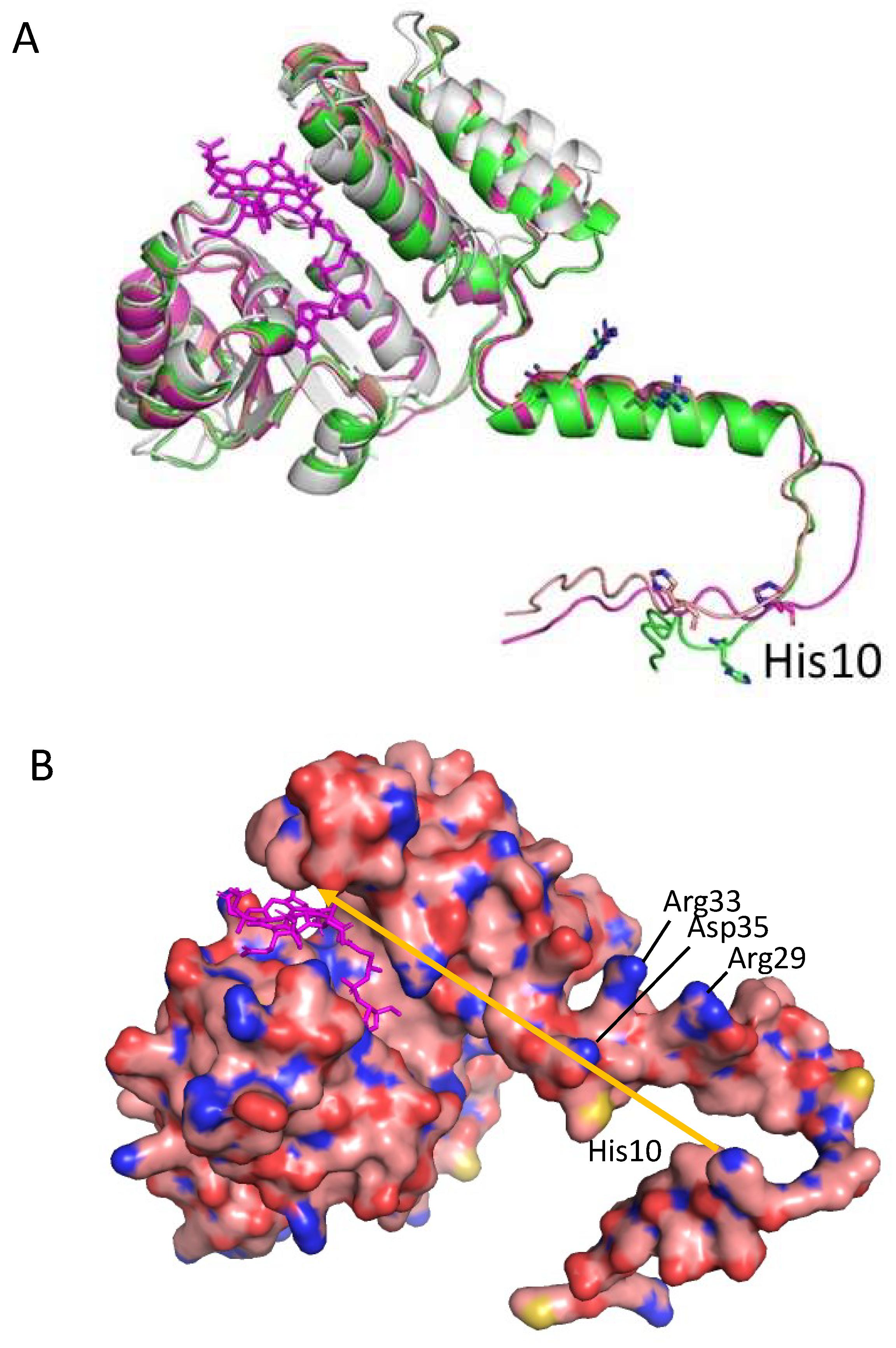Microorganisms 10 00912 g004 Microorganisms 10 00912 g004