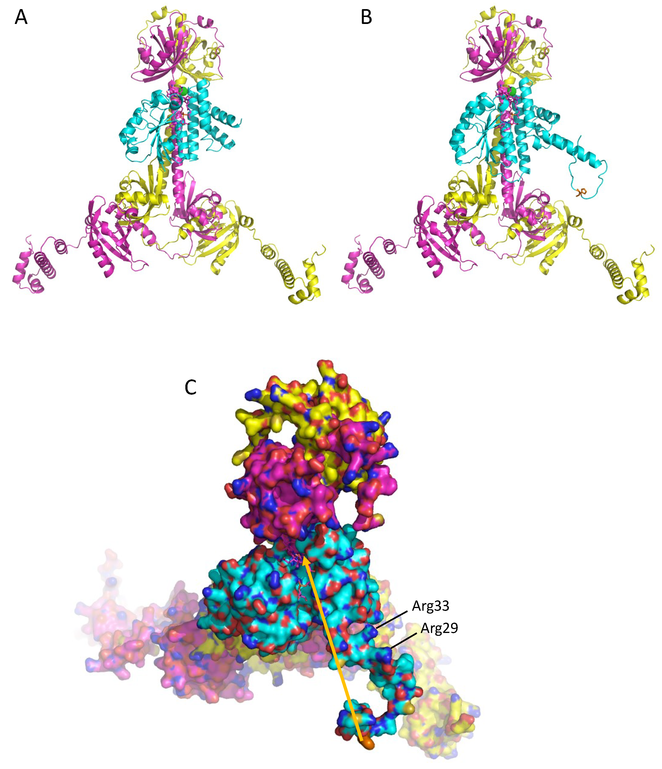Microorganisms 10 00912 g006 Microorganisms 10 00912 g006
