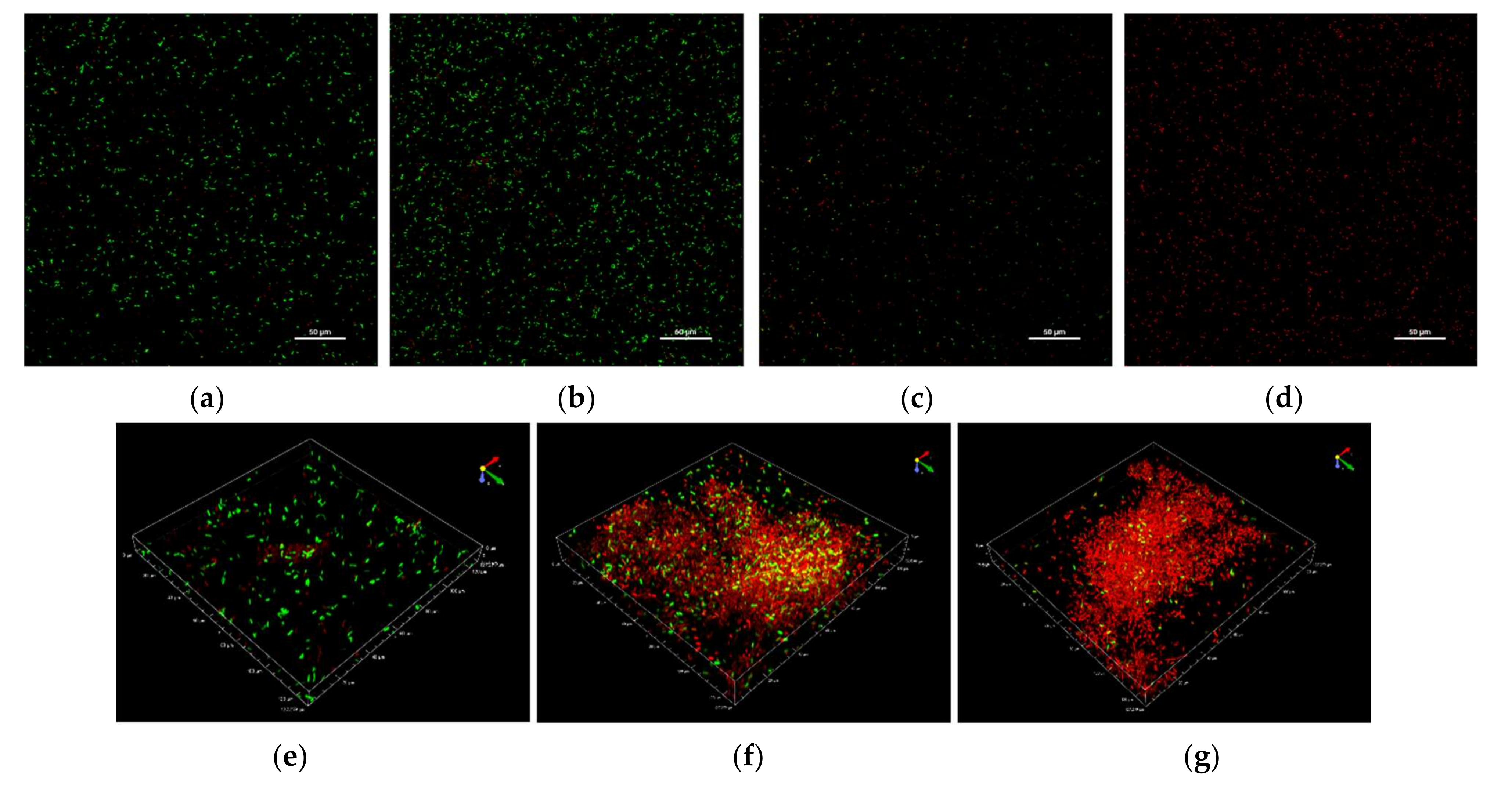 Microorganisms 10 00920 g002