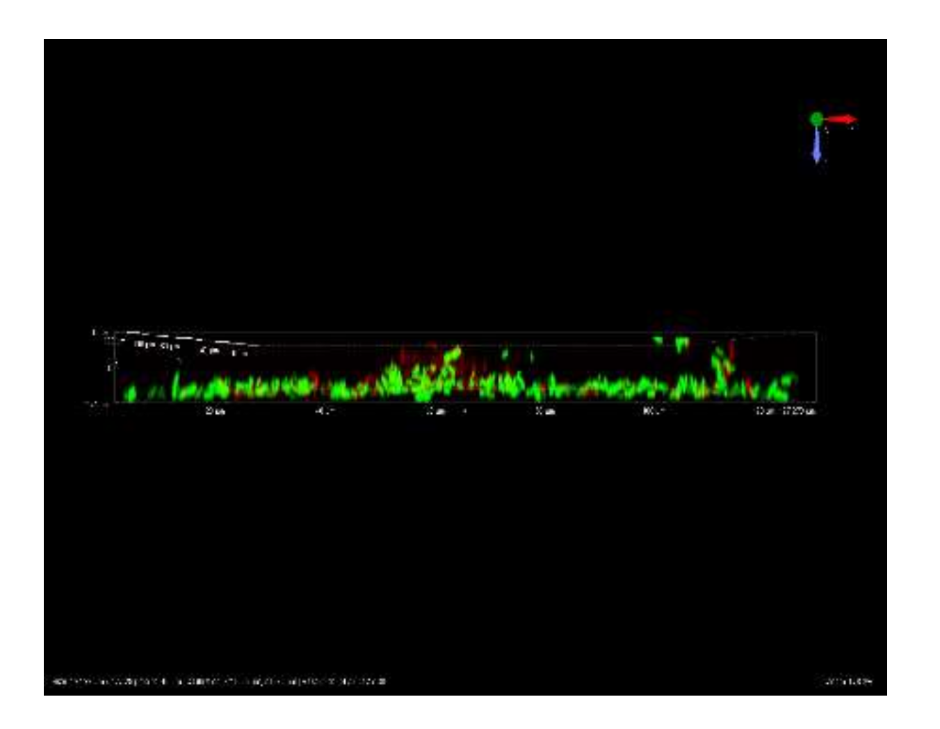 Microorganisms 10 00920 g003