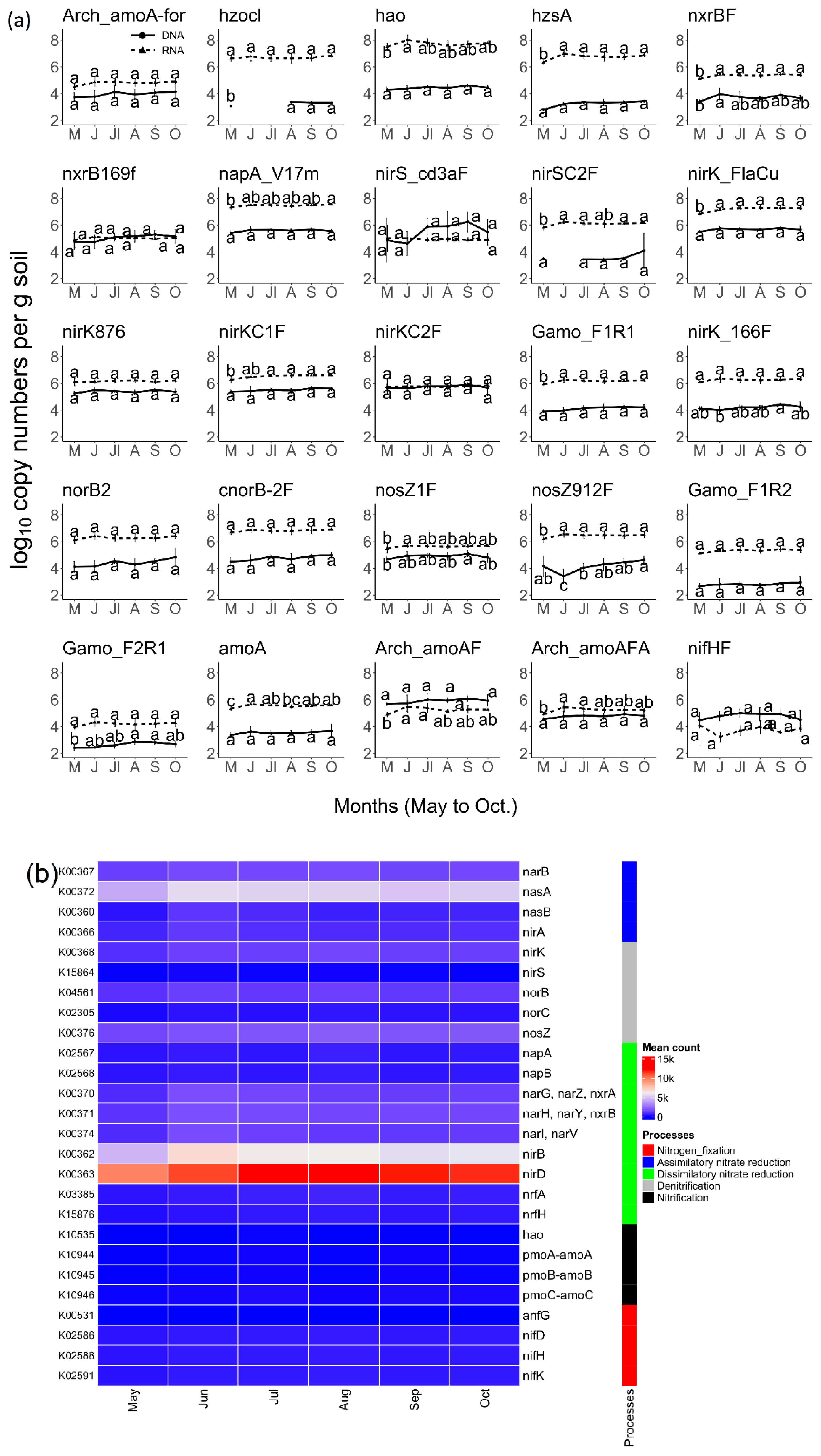 Microorganisms 10 00923 g001