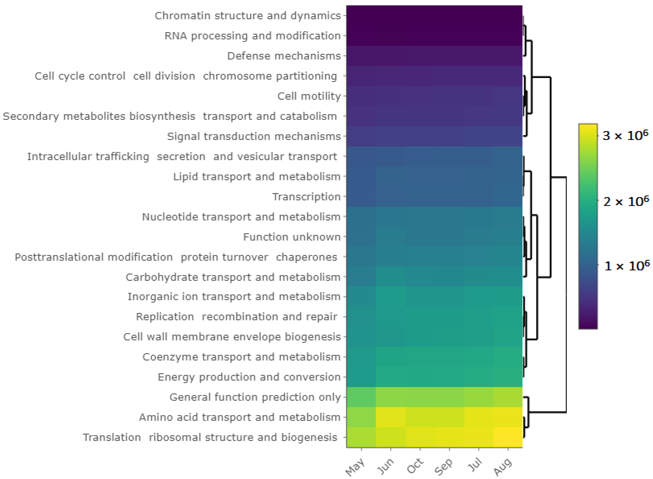 Microorganisms 10 00923 g007