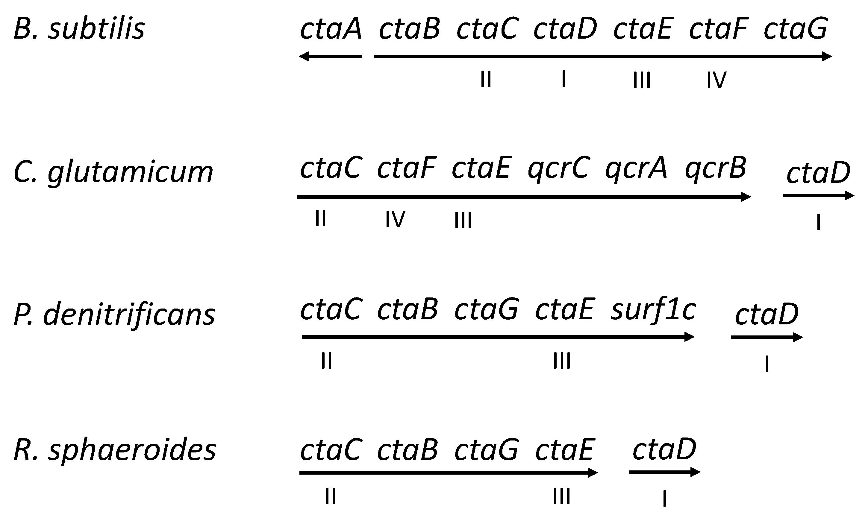 Microorganisms 10 00926 g002