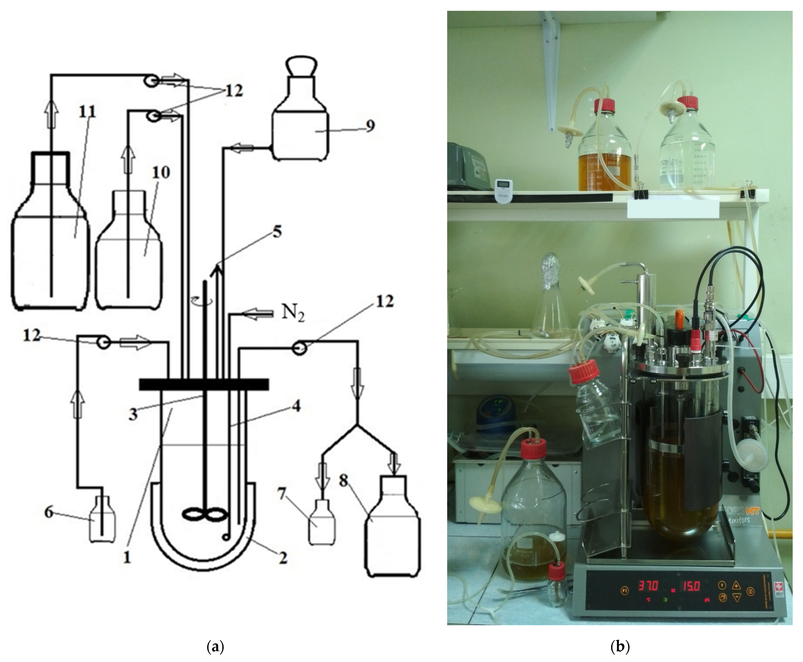 Microorganisms 10 00929 g001 Microorganisms 10 00929 g001