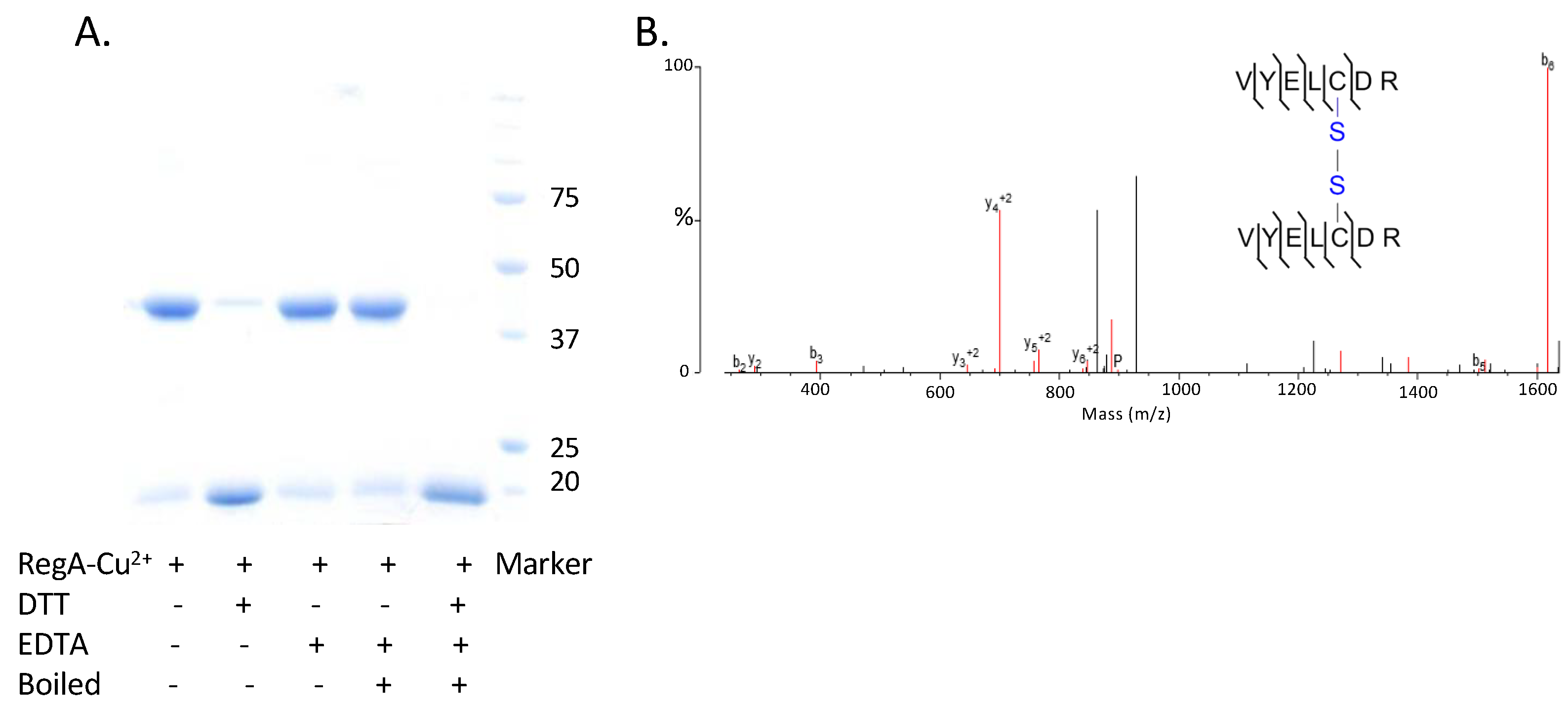 Microorganisms 10 00934 g005 Microorganisms 10 00934 g005