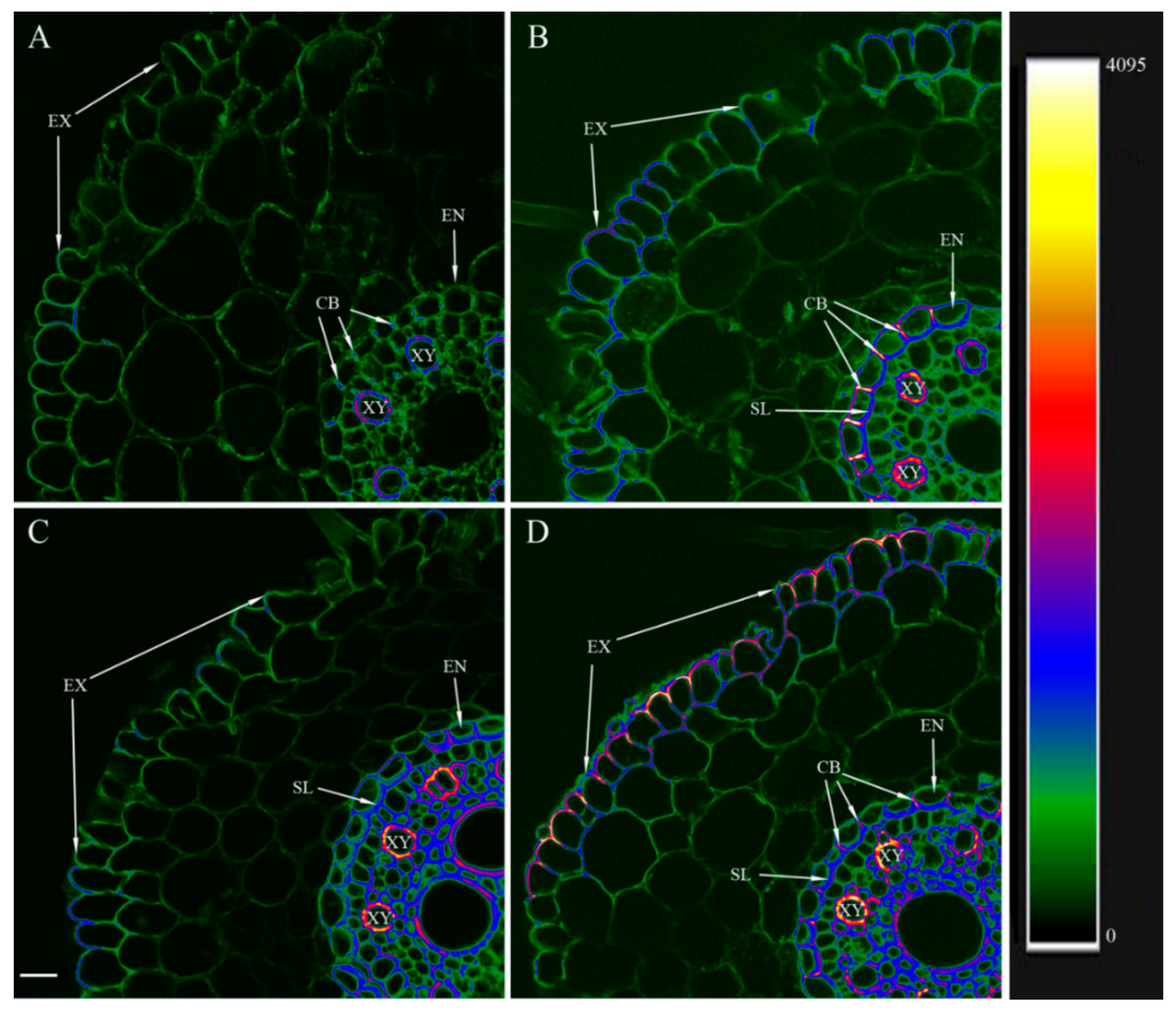 Microorganisms 10 00935 g001