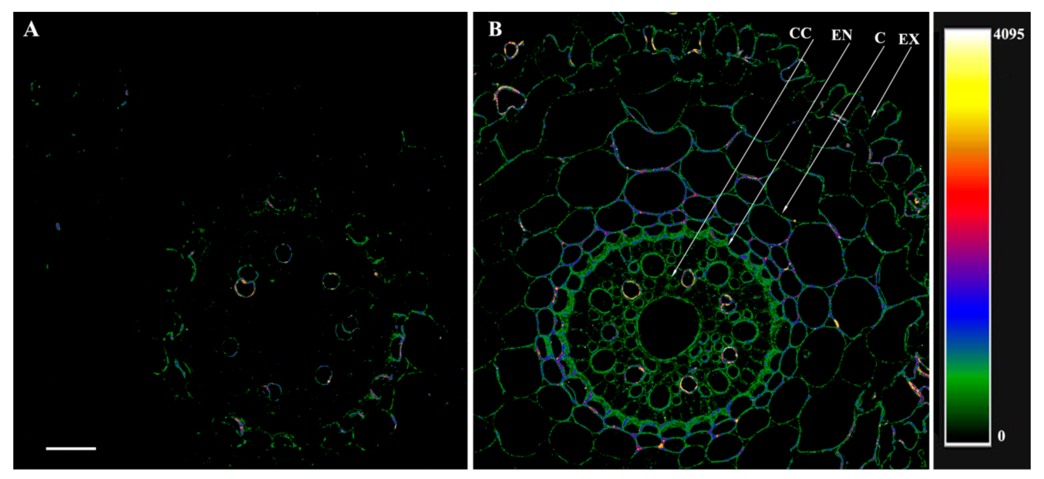 Microorganisms 10 00935 g004