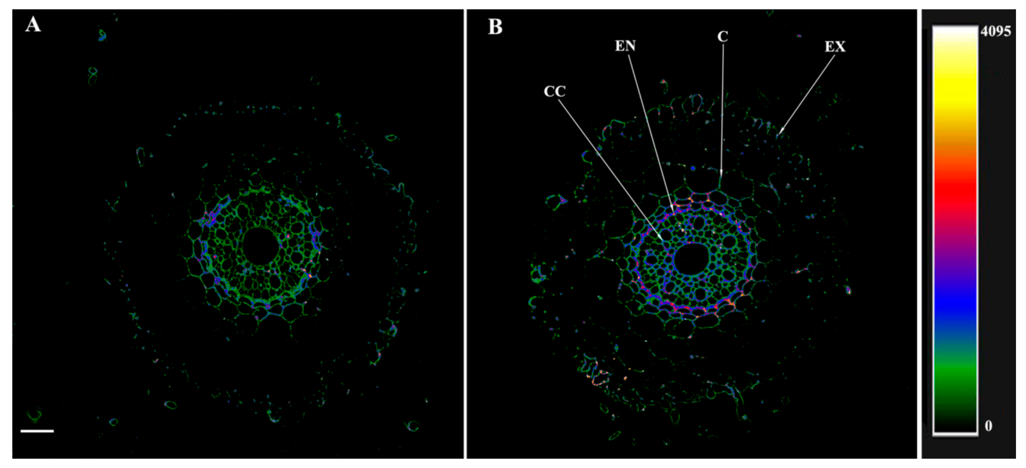 Microorganisms 10 00935 g005