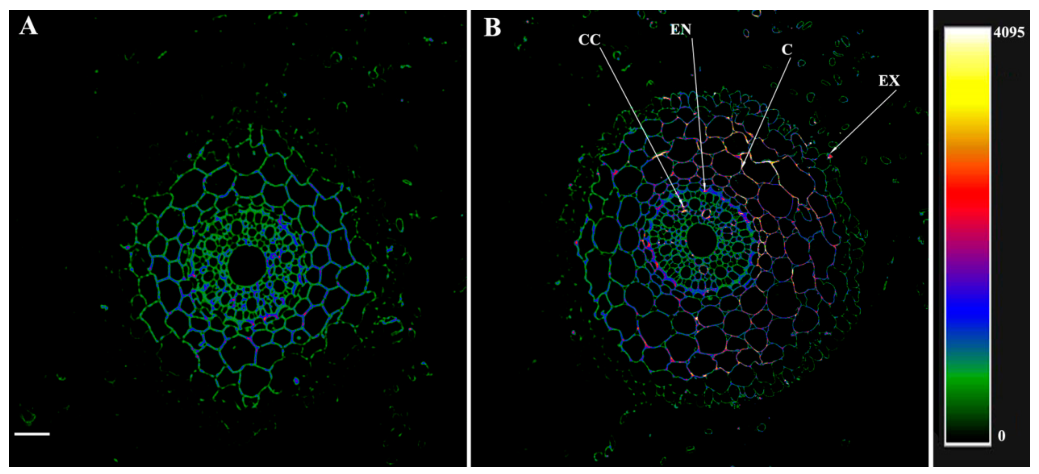 Microorganisms 10 00935 g006