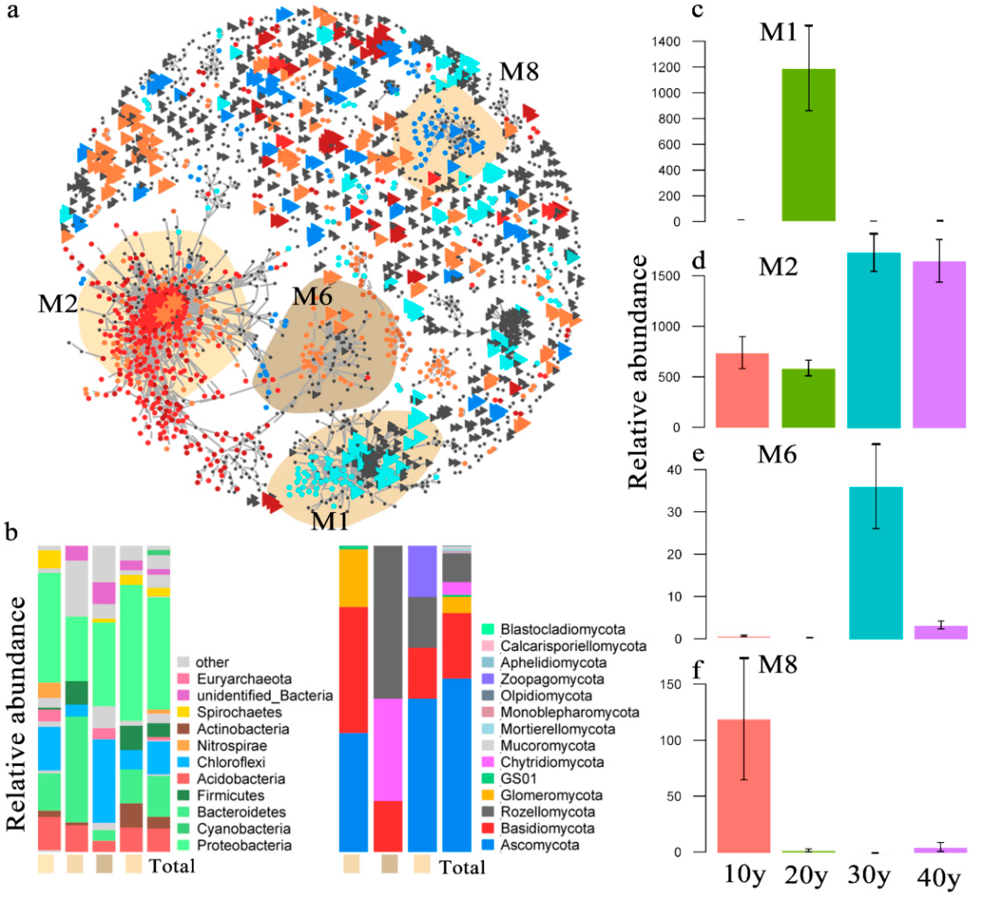 Microorganisms 10 00937 g004