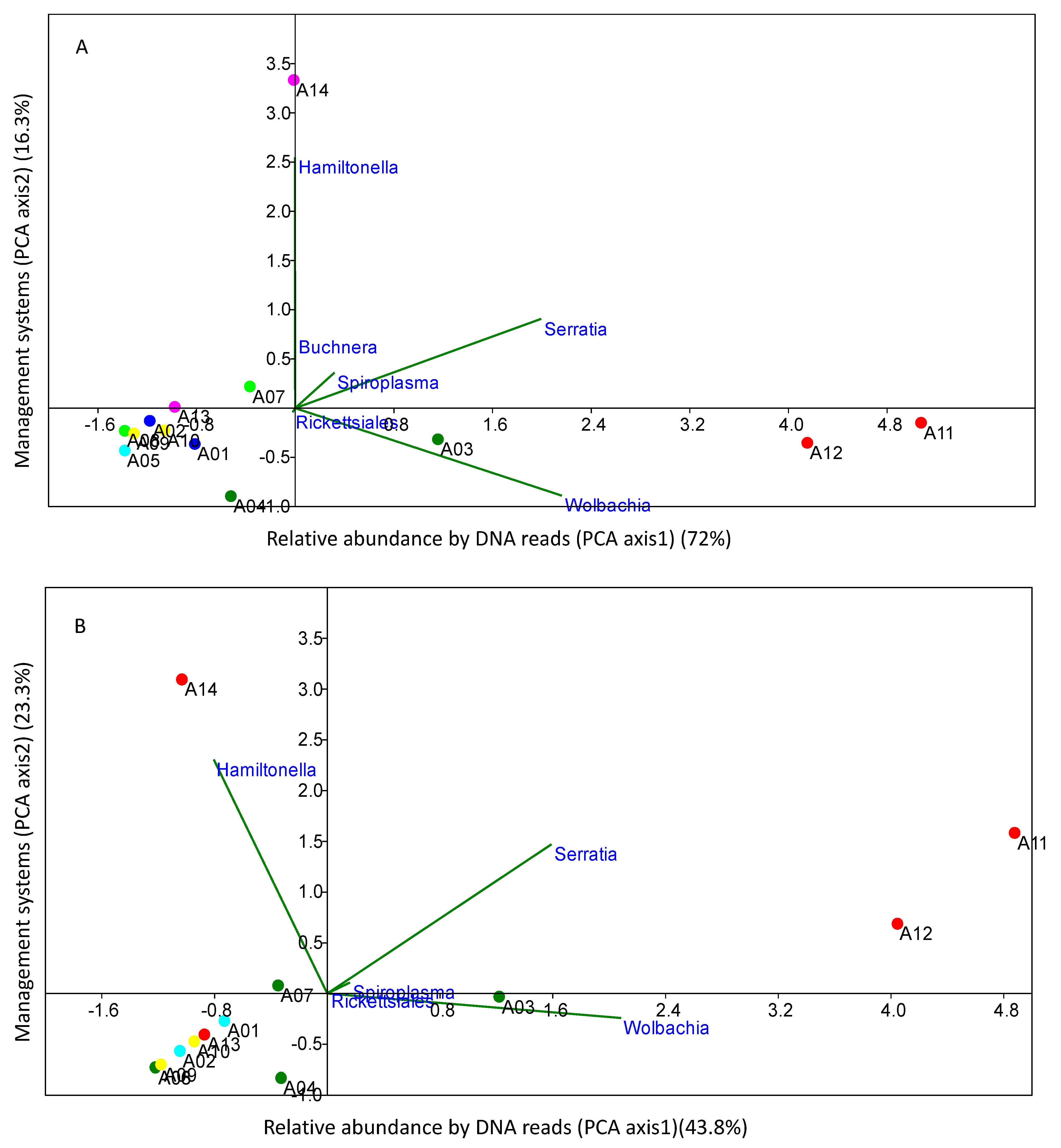Microorganisms 10 00939 g003