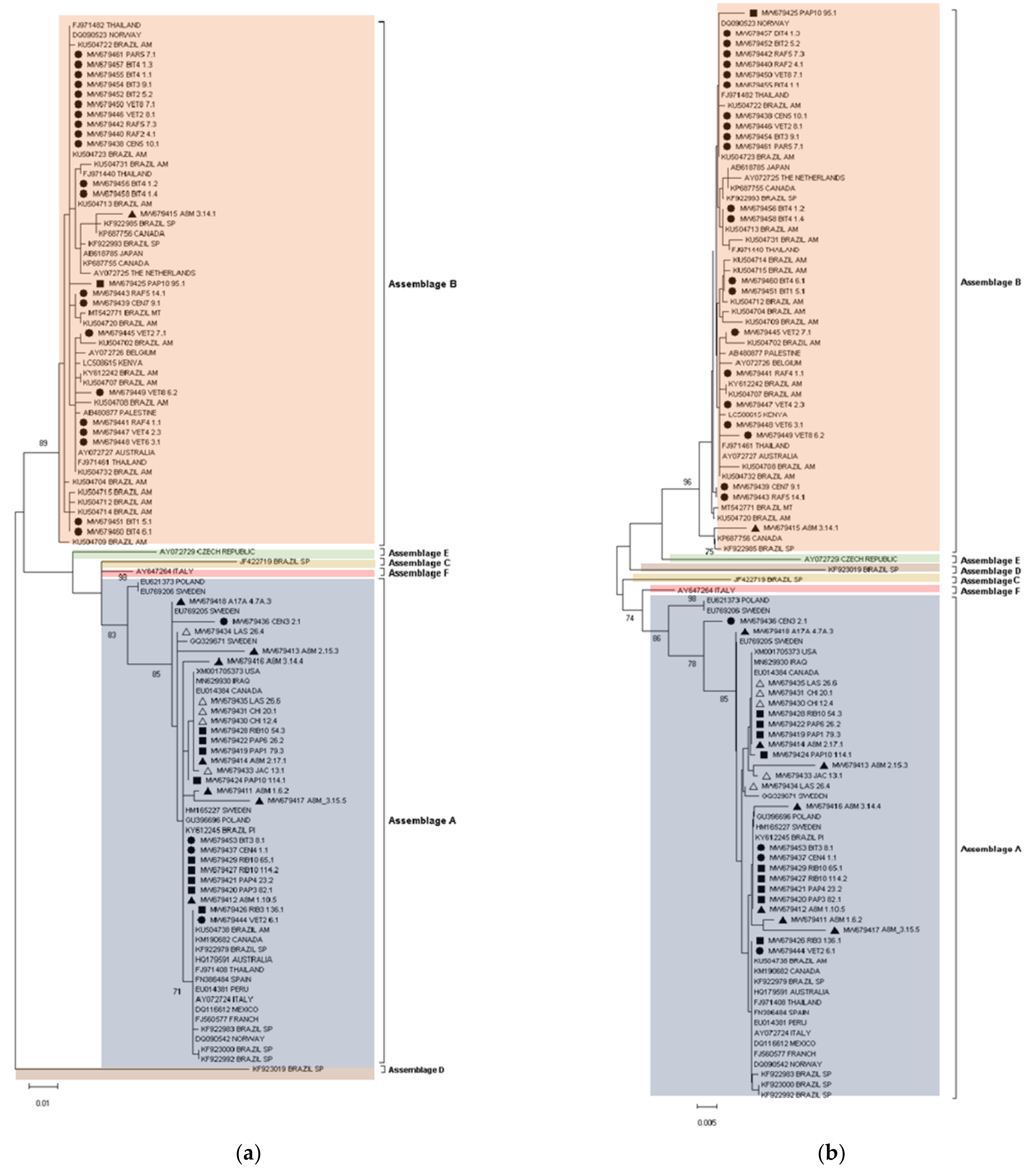 Microorganisms 10 00940 g004