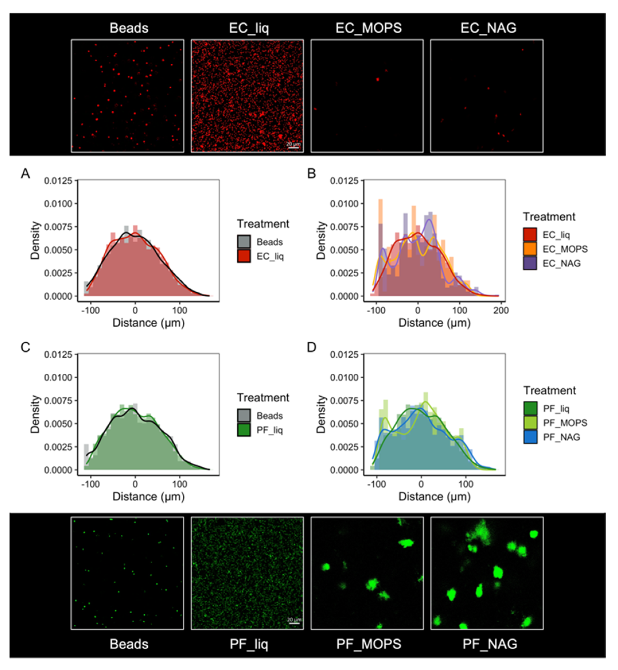 Microorganisms 10 00944 g004