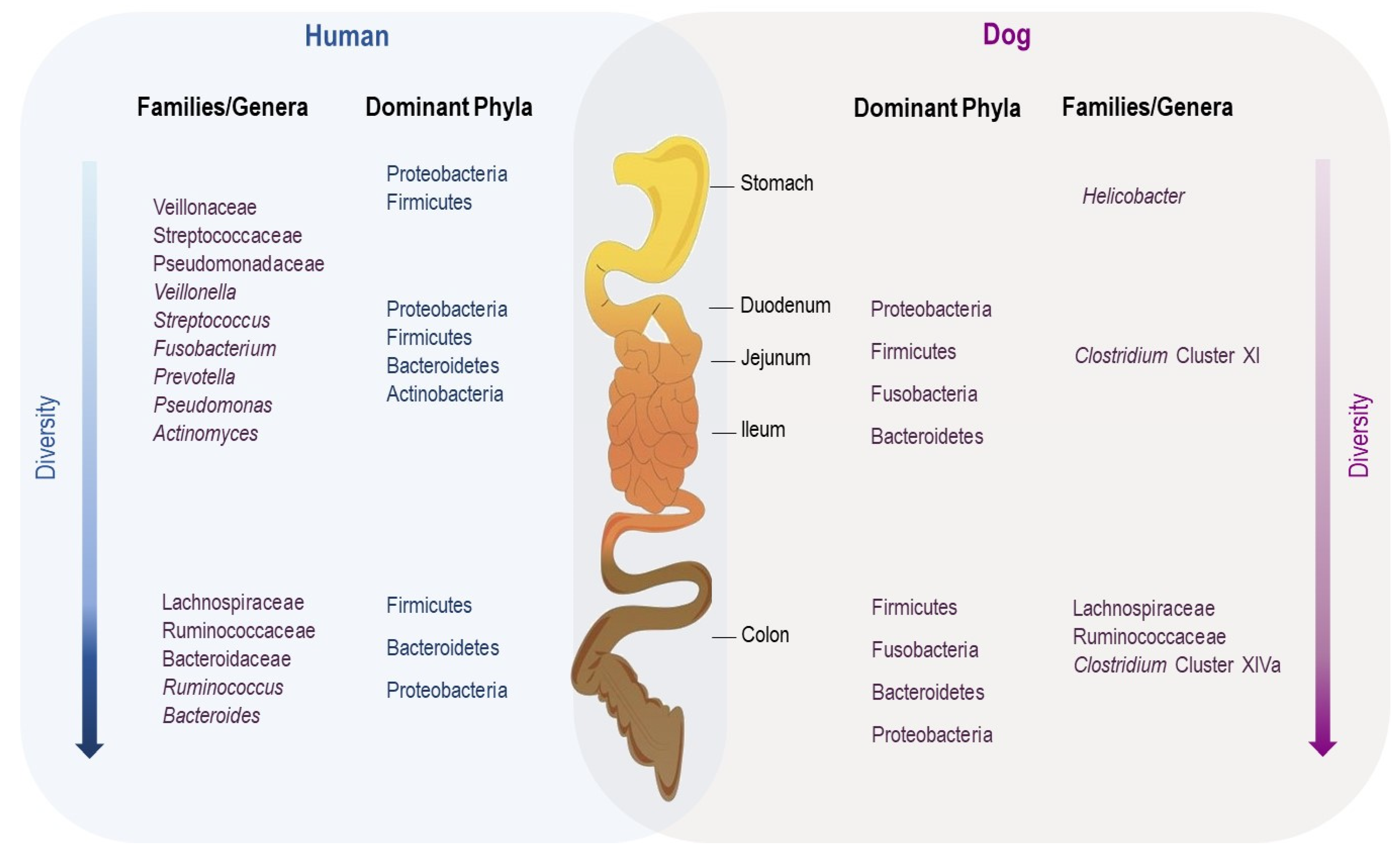 Microorganisms 10 00949 g002 Microorganisms 10 00949 g002