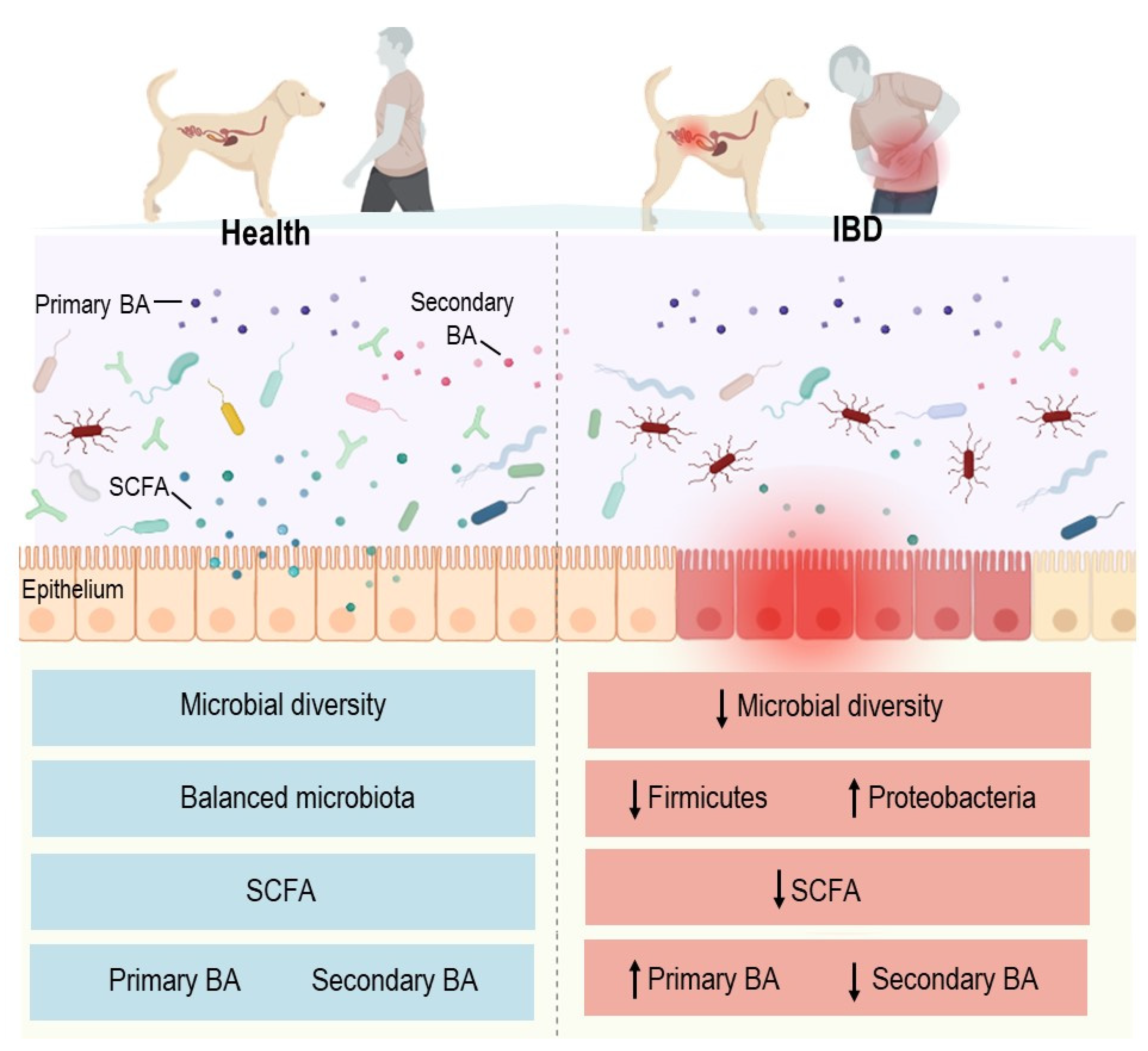 Microorganisms 10 00949 g003 Microorganisms 10 00949 g003