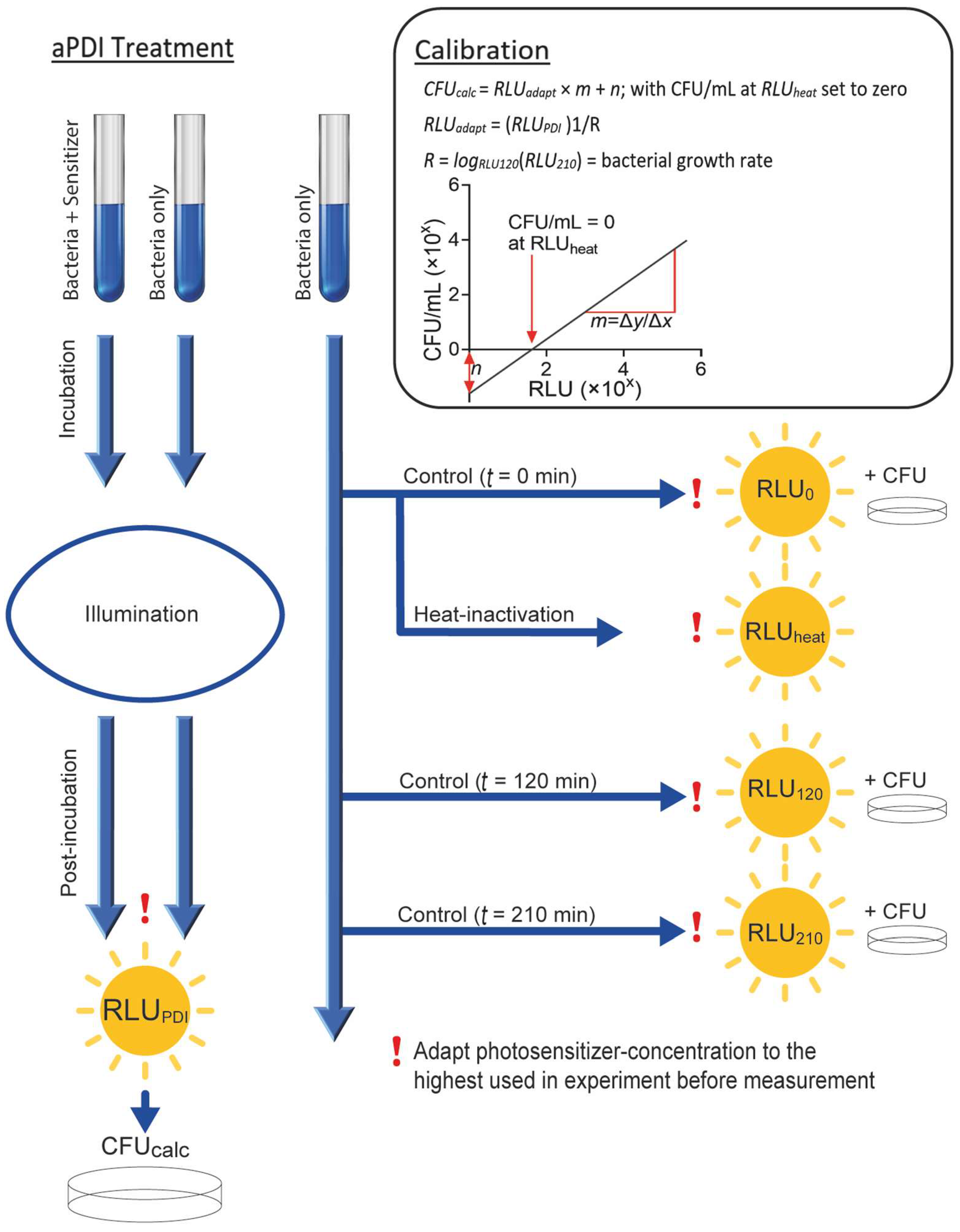 Microorganisms 10 00950 g003