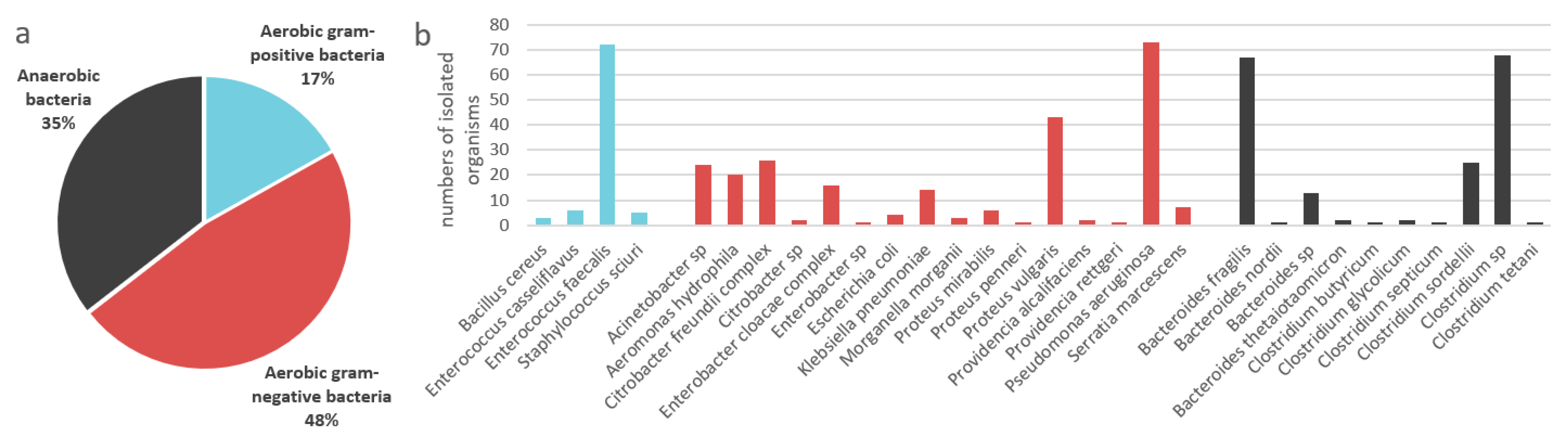 Microorganisms 10 00951 g001