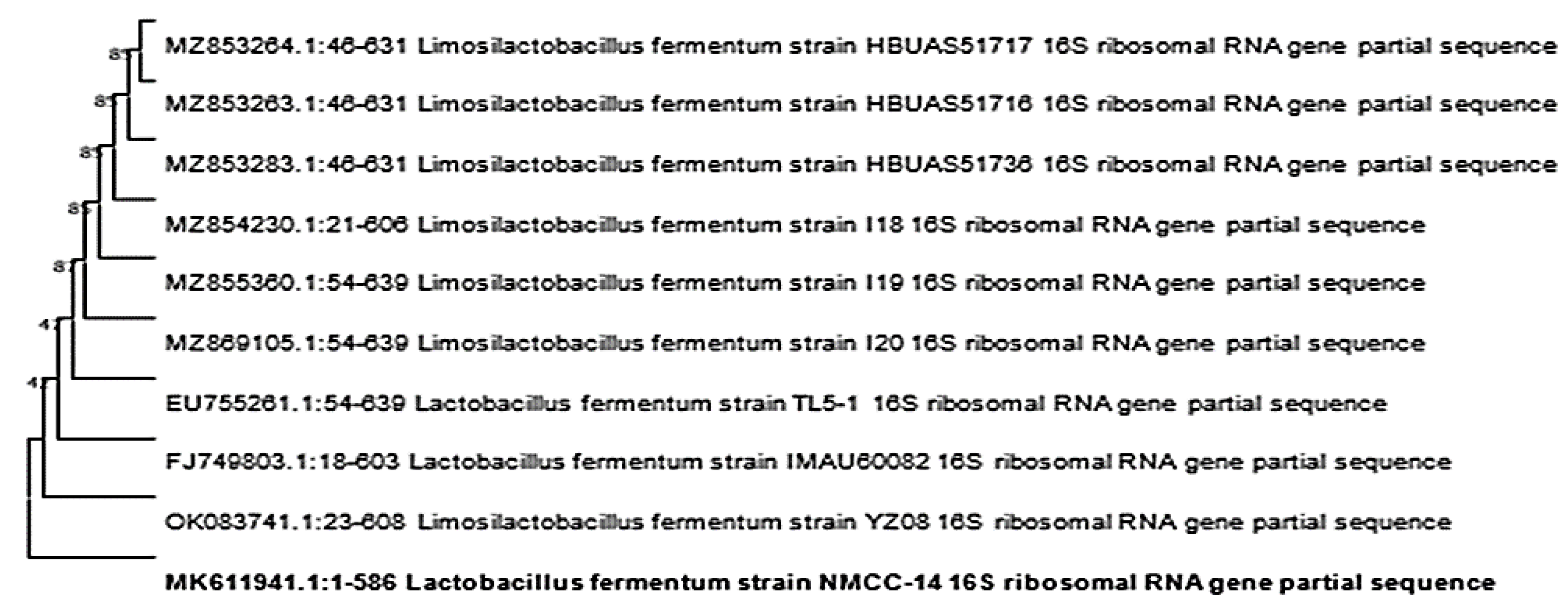 Microorganisms 10 00954 g008