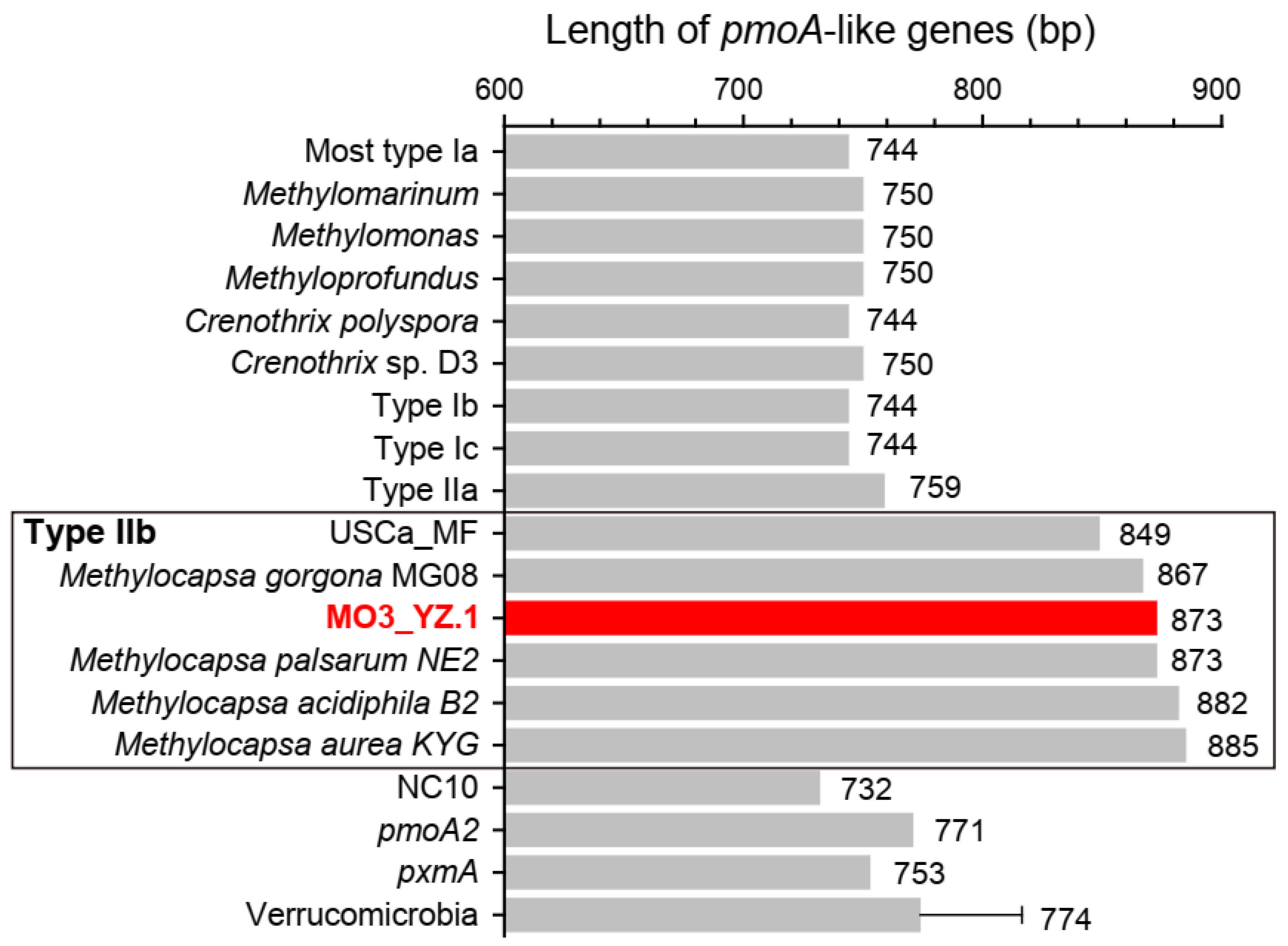 Microorganisms 10 00955 g003