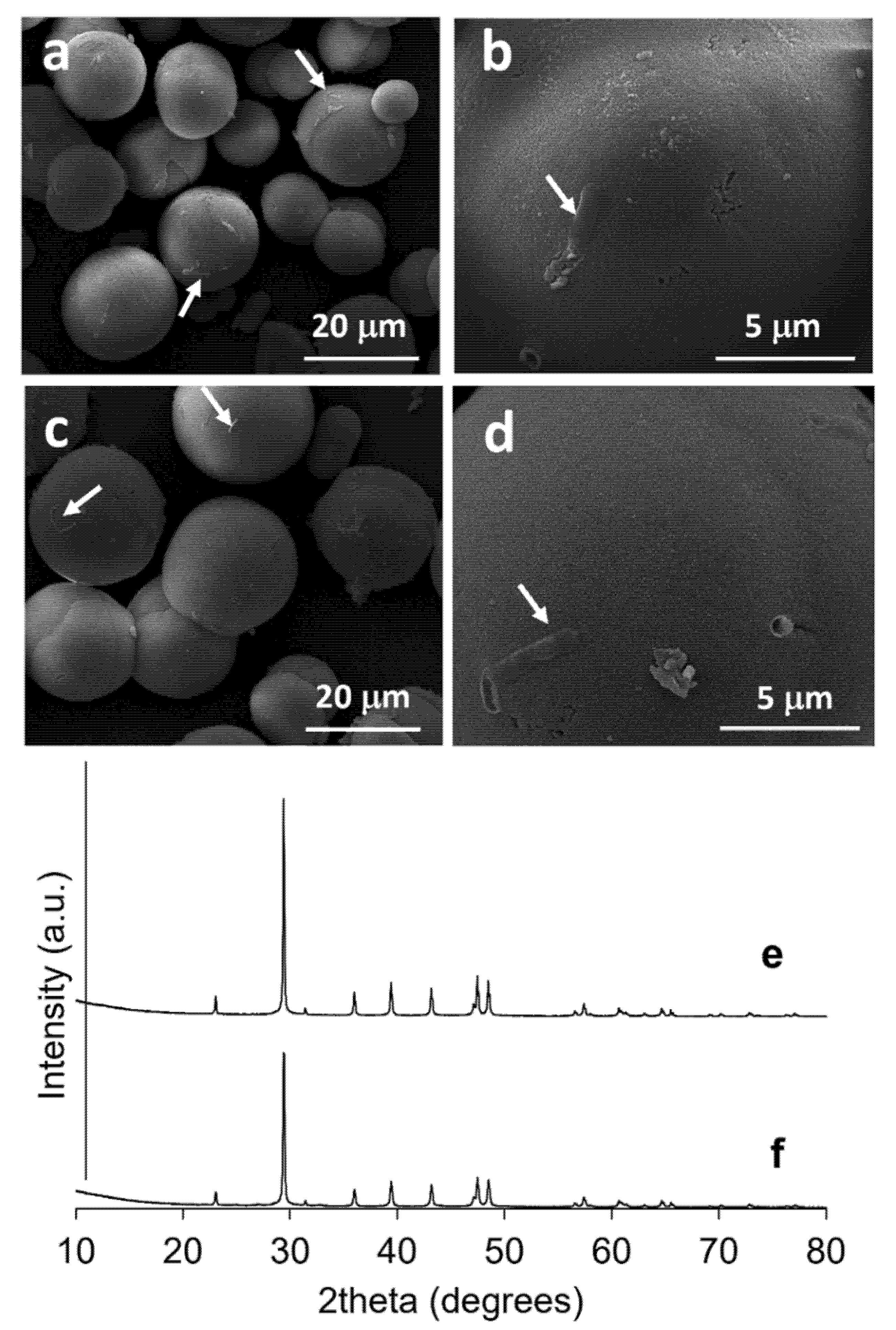 Microorganisms 10 00963 g006