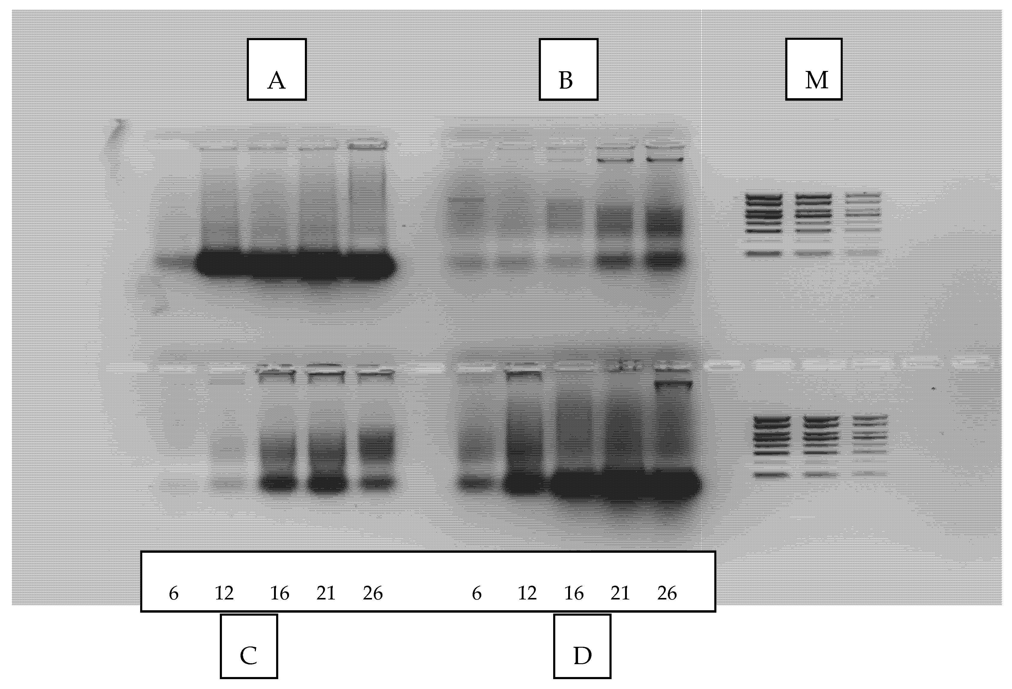 Microorganisms 10 00964 g002
