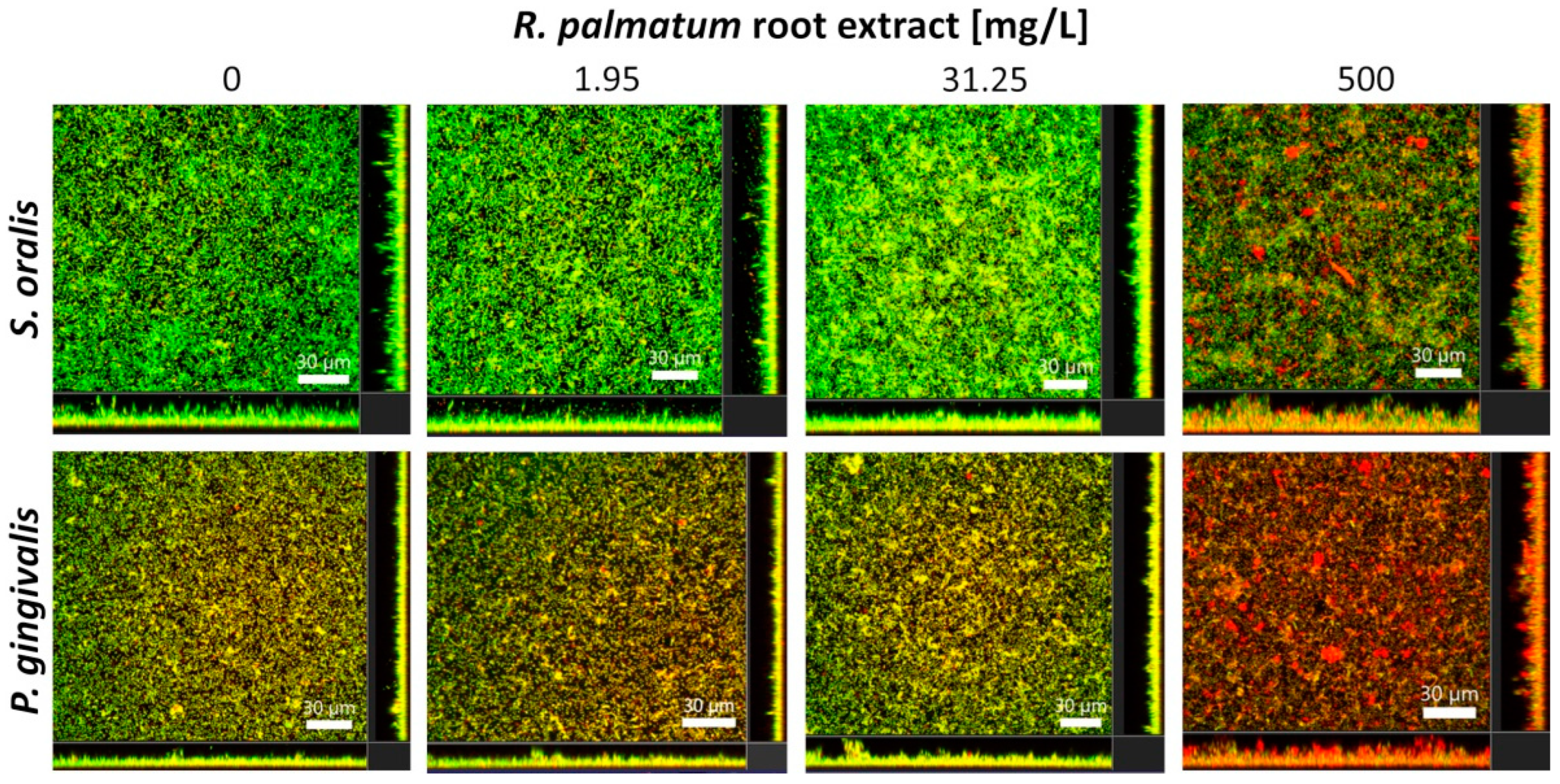 Microorganisms 10 00965 g002