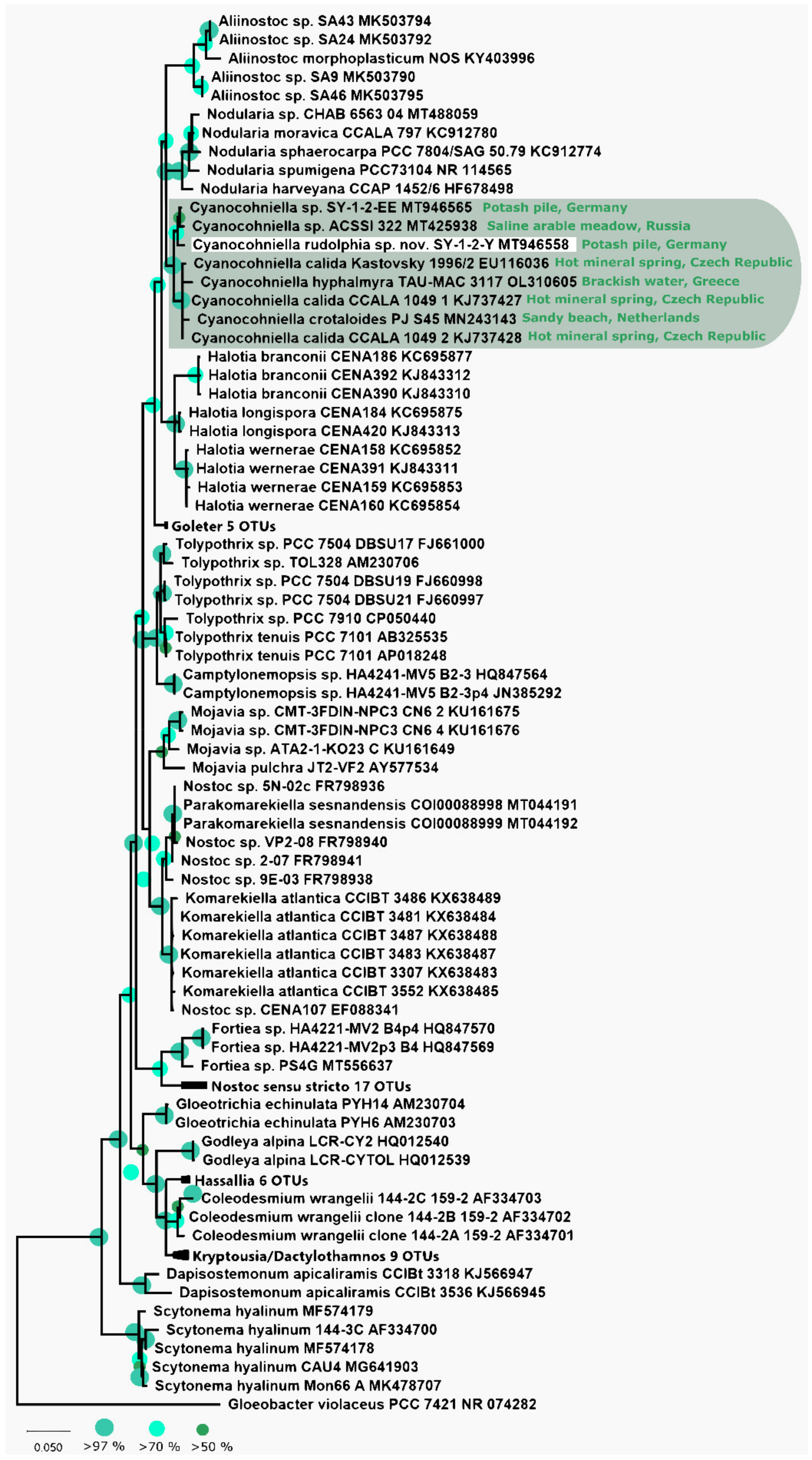 Microorganisms 10 00968 g001