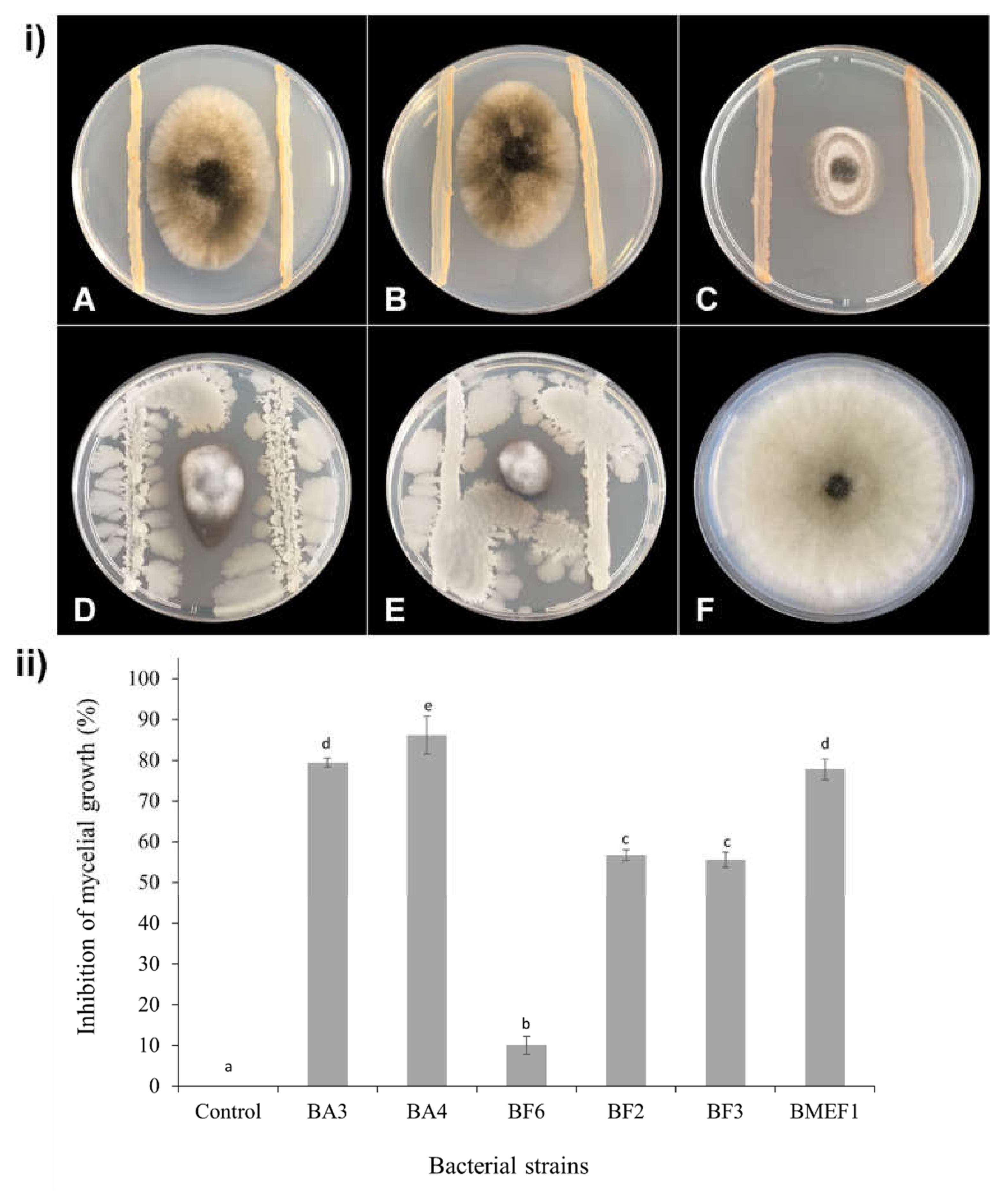 Microorganisms 10 00969 g002