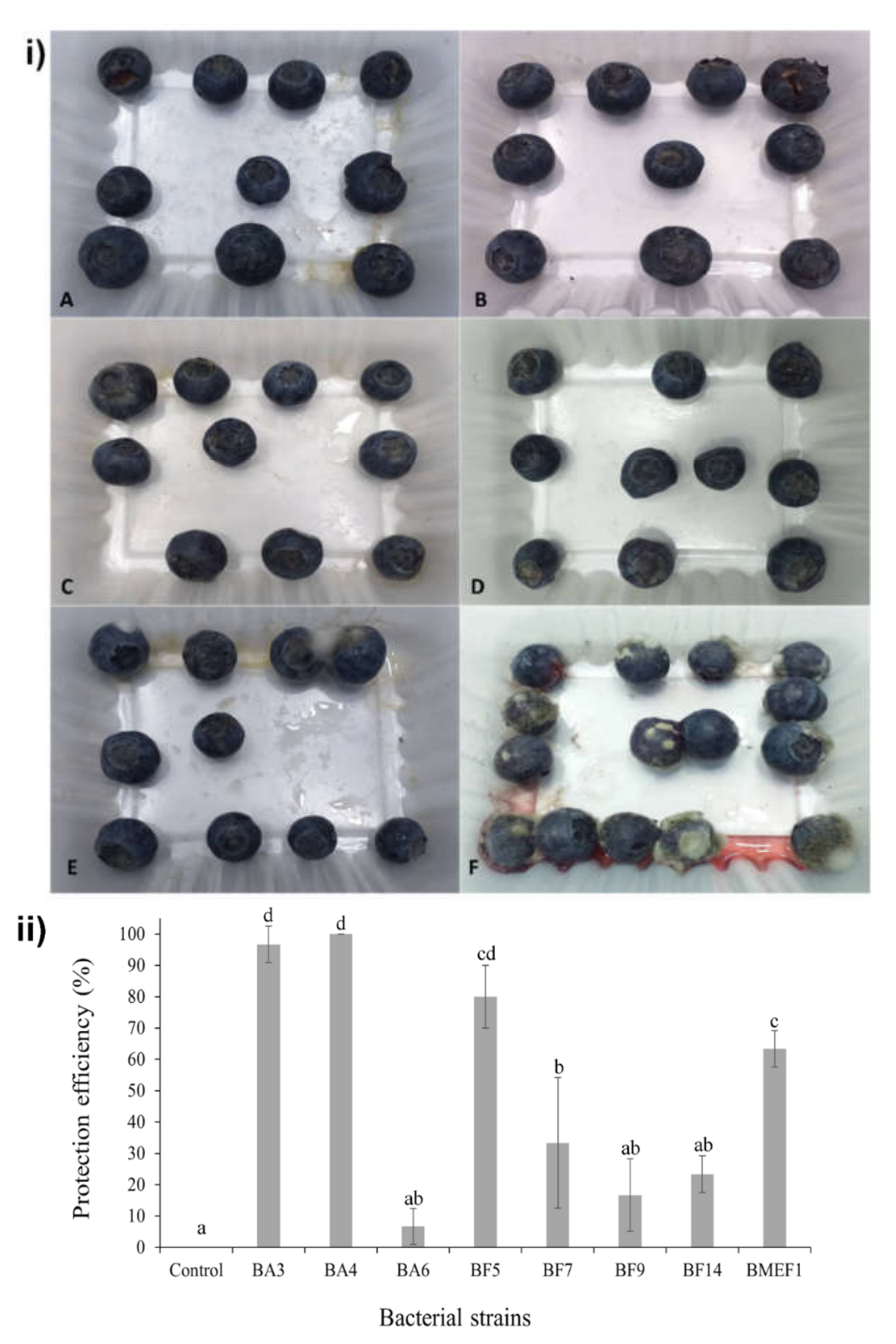 Microorganisms 10 00969 g003