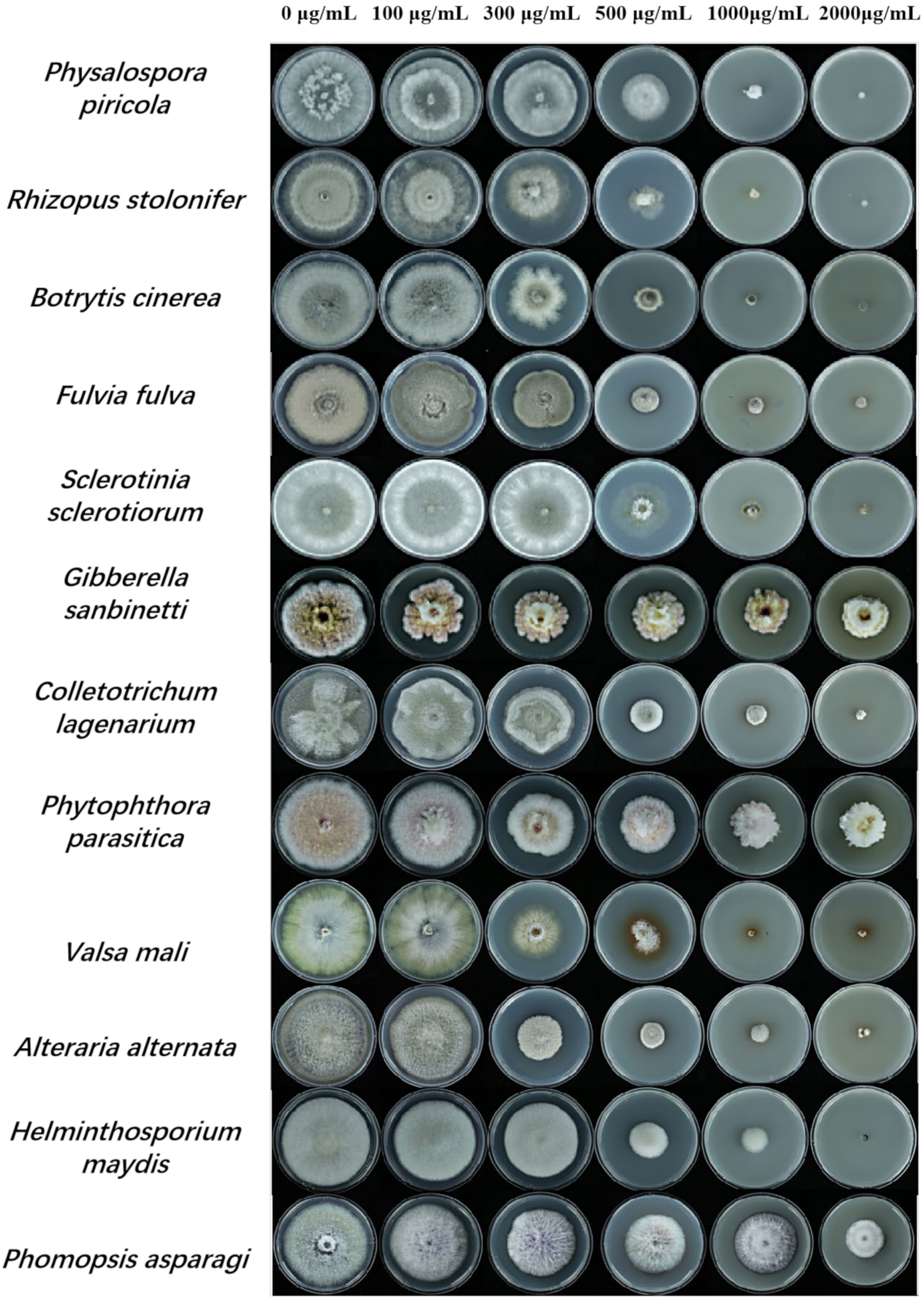 Microorganisms 10 00971 g001