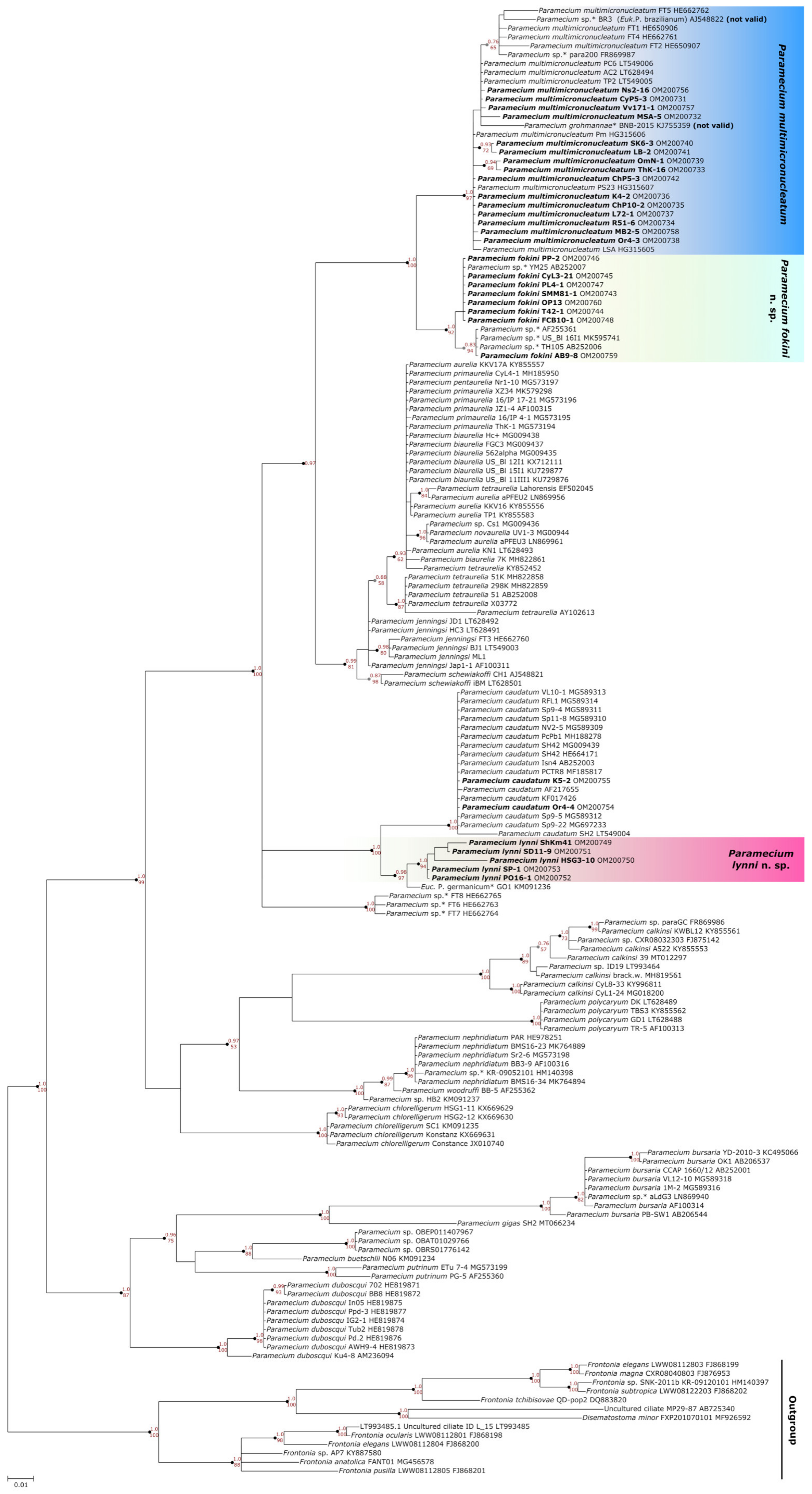 Microorganisms 10 00974 g002 Microorganisms 10 00974 g002